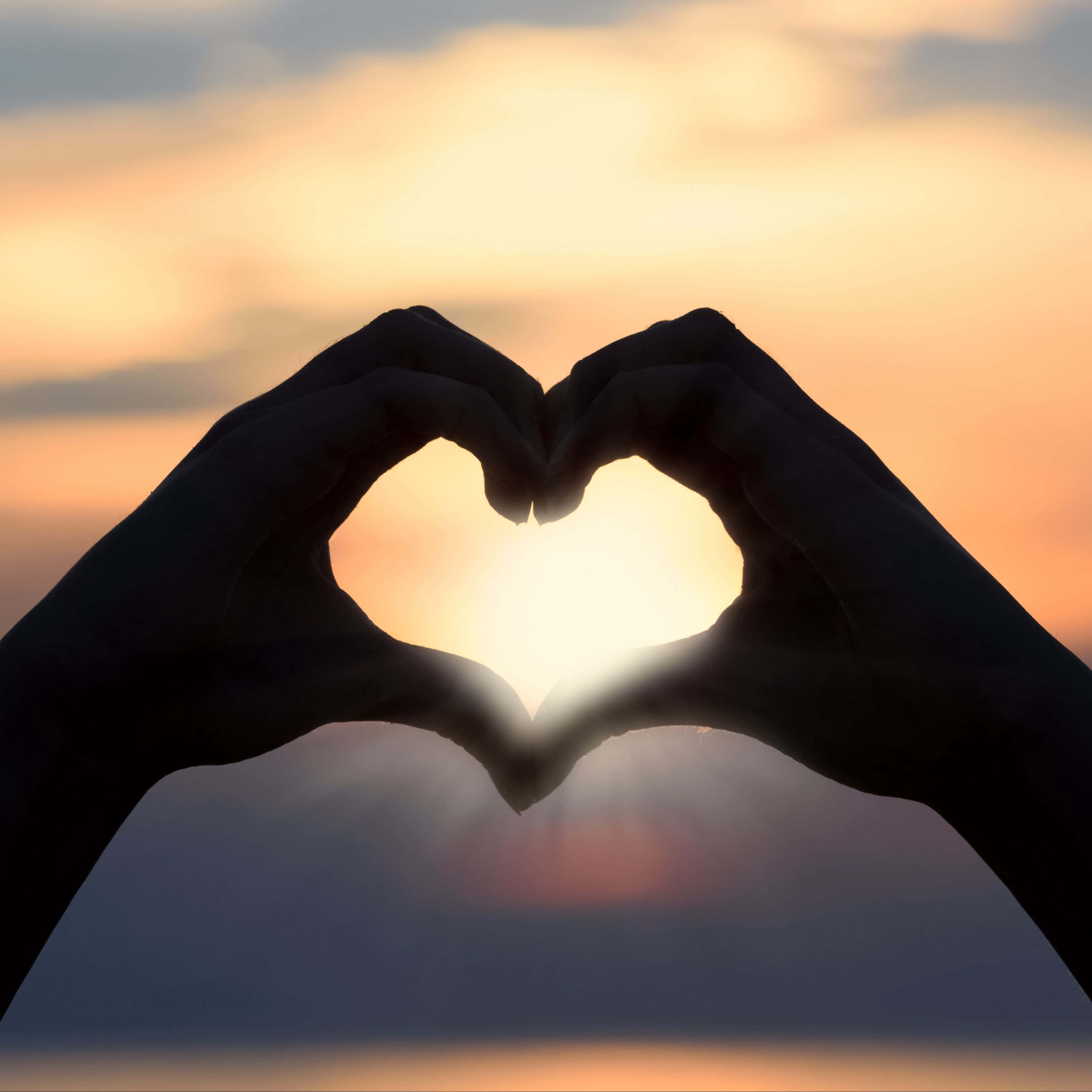 Heart Silhouette 桌布 壁紙 — 剪影雙手形成心形，框住帶有柔和橙色和紫色色調的發光日落天空。
