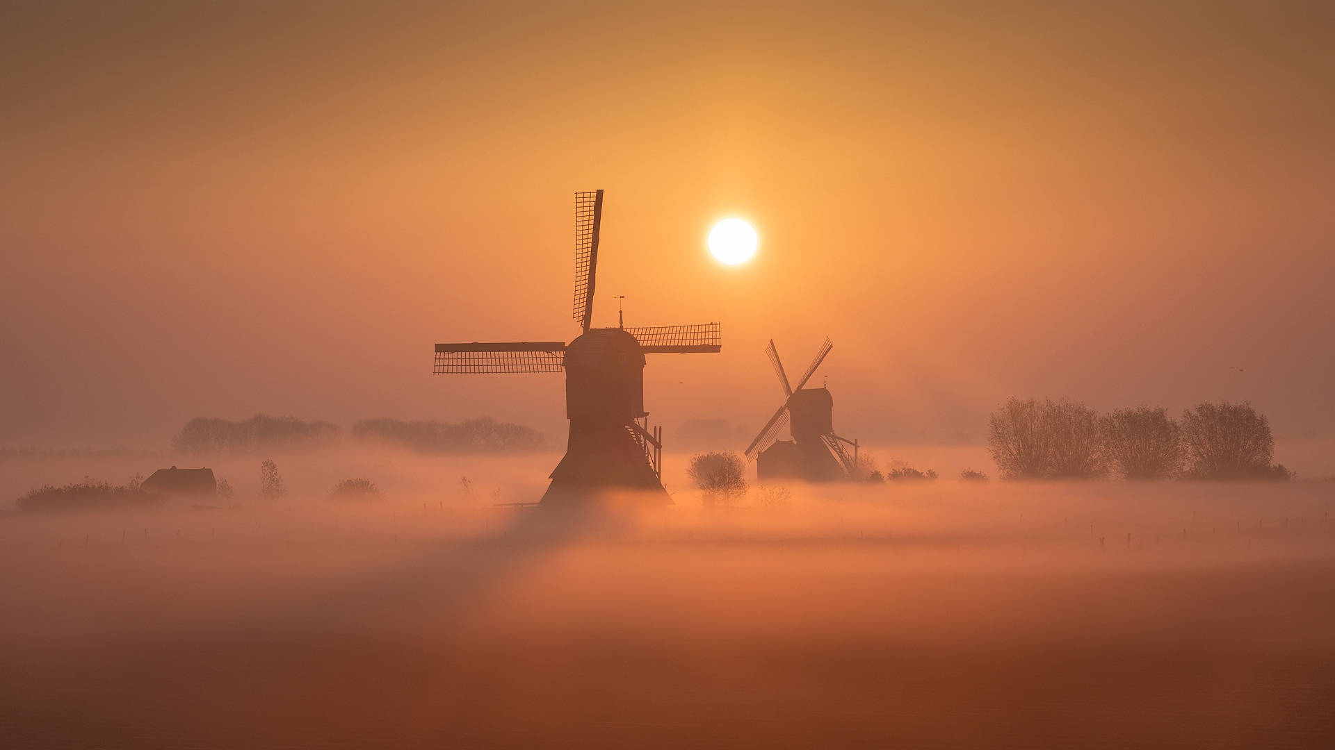 Netherlands 桌布 壁紙 — 剪影風車從濃厚的橙色霧氣中升起，太陽在地平線上溫暖地照耀著。
