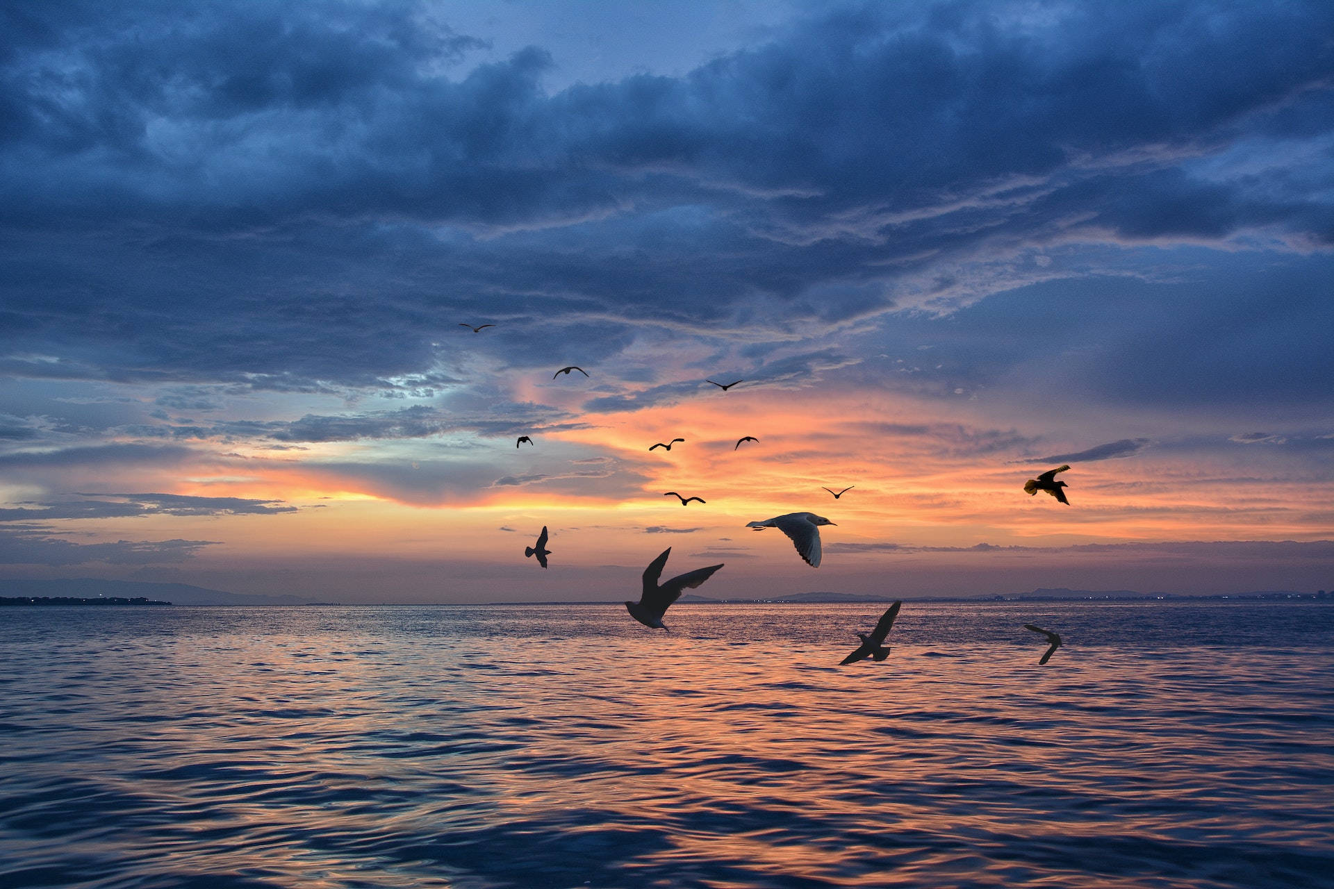 Birds Flying 桌布 壁紙 — 剪影鳥兒在寧靜的海洋上空翱翔，夕陽西下，火紅的橙雲襯托著深藍色的天空。