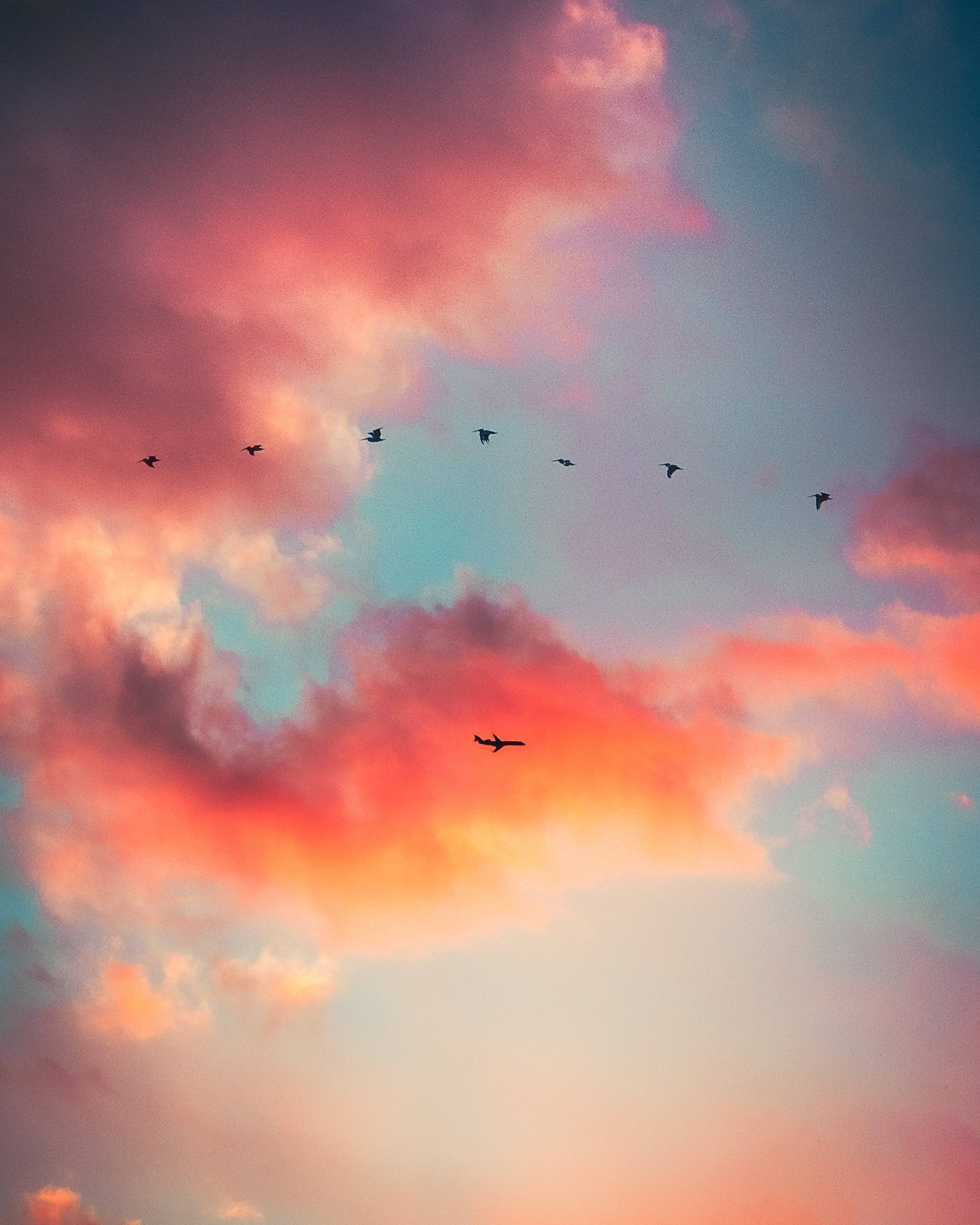 birds 桌布 壁紙 — 剪影鳥群在充滿活力的日落天空中飛翔，天空塗有粉紅色、橙色和藍綠色的雲彩。