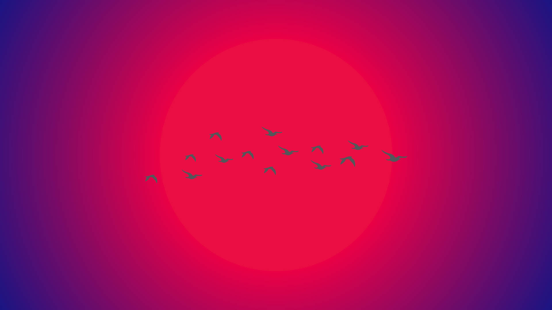 鳥群在紅日和紫色天空襯托下列隊飛行。 — 極簡美學筆電 壁紙