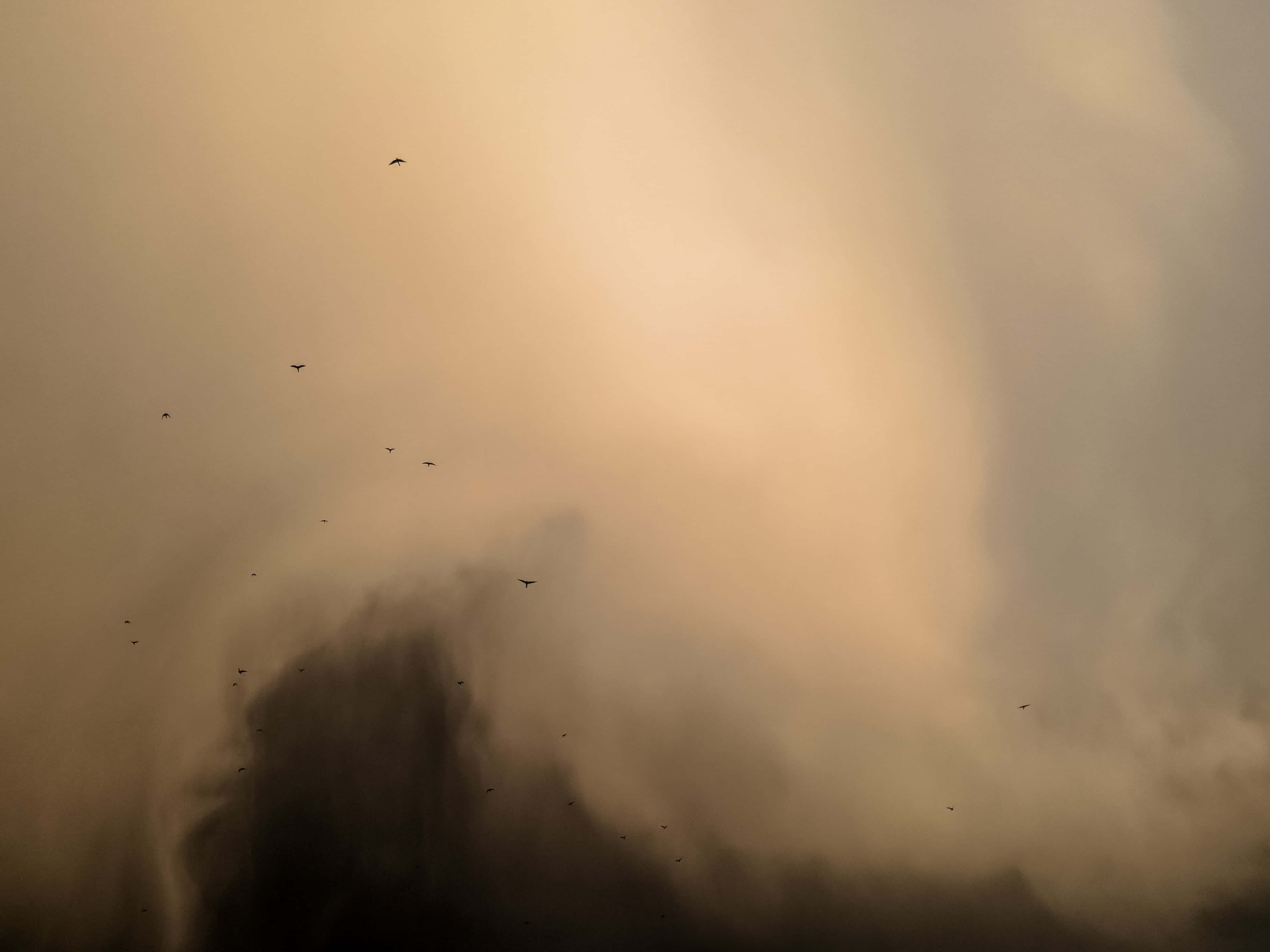 Dust 桌布 壁紙 — 剪影鳥群翱翔於廣闊旋轉的沙塵暴中，閃耀著溫暖琥珀色光芒。