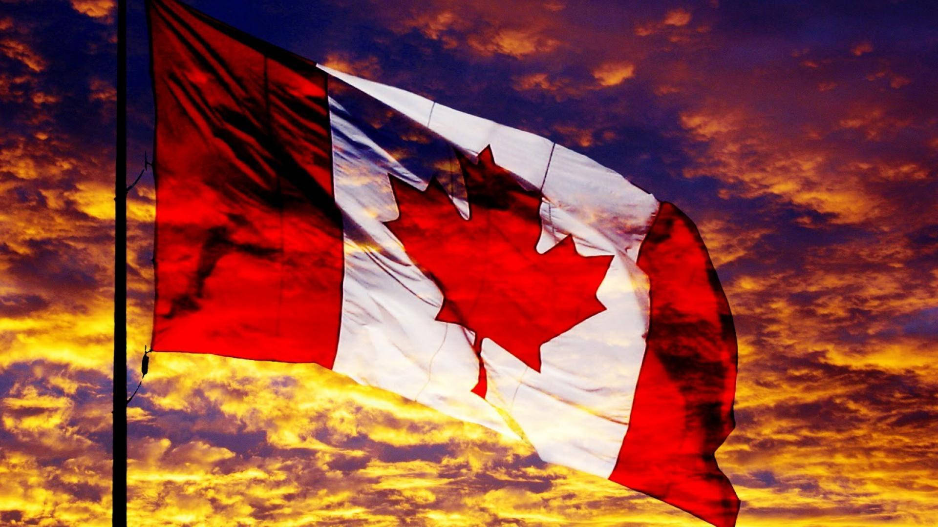 Canada Day 桌布 壁紙 — 加拿大國旗在火紅的夕陽天空和金色橙色雲彩中自豪地飄揚。