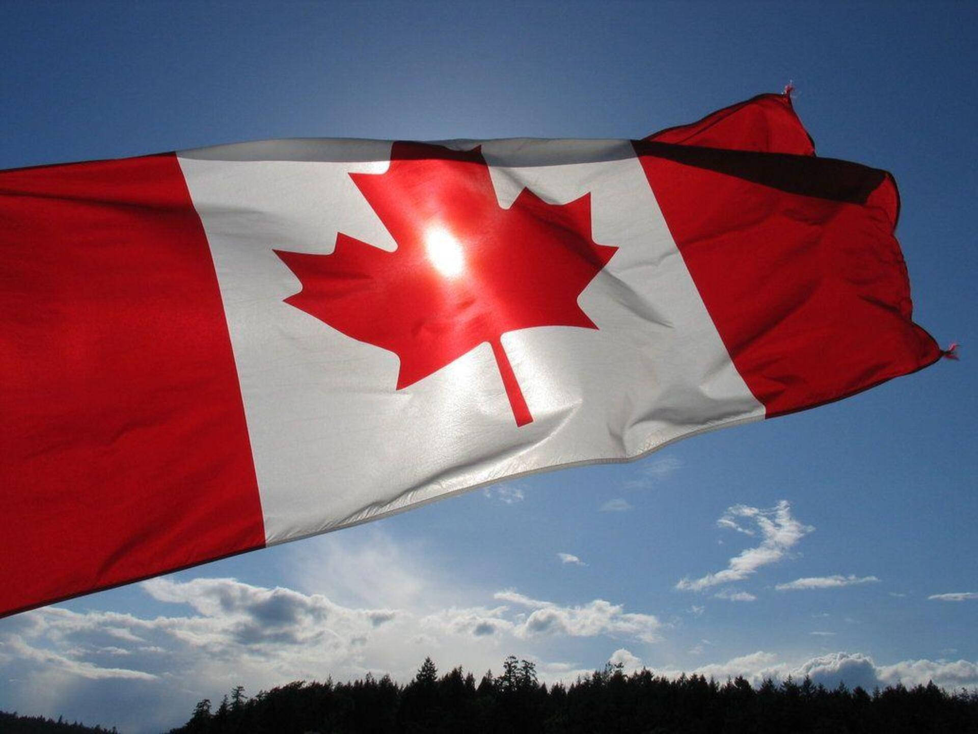 Canada Day 桌布 壁紙 — 加拿大國旗在風中飄揚，陽光穿過楓葉映襯藍天和森林輪廓。