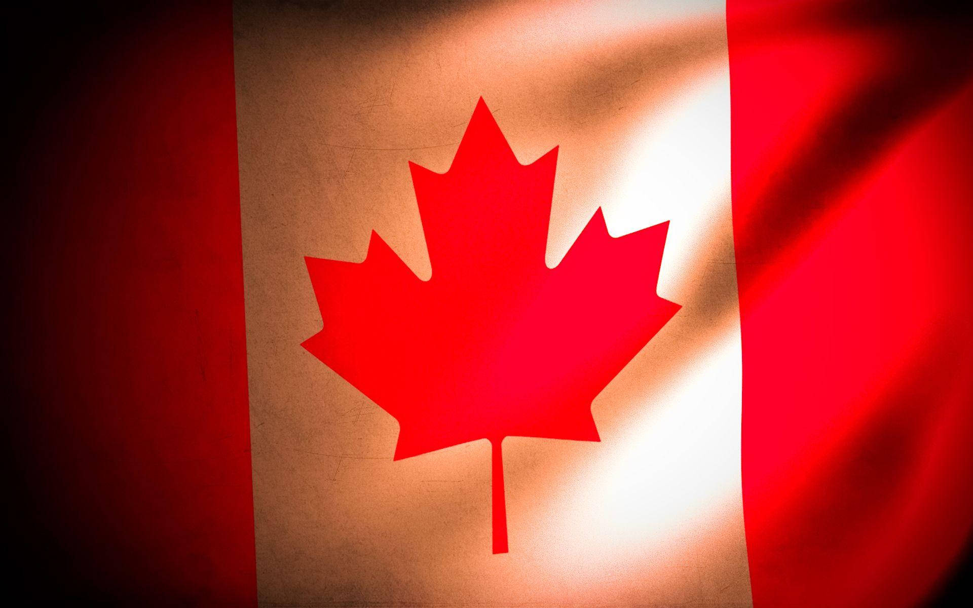 Canada Flag 桌布 壁紙 — 加拿大國旗的特寫，白色區域中央有紅色楓葉，兩側為紅色垂直條紋，在戲劇性的燈光下拍攝。