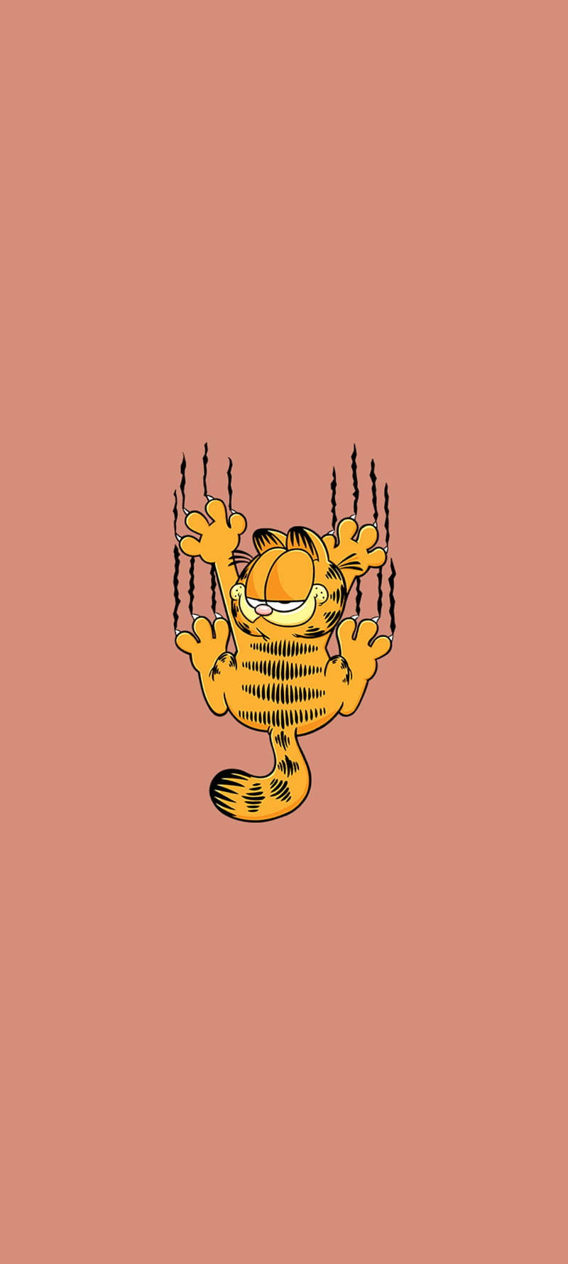 Garfield 桌布 壁紙 — 加菲貓，橙色虎斑貓，伸出爪子抓撓窗戶，背景為純鮭魚色。
