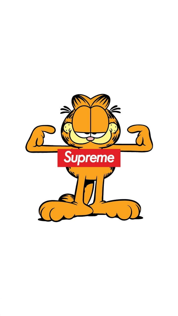 加菲貓卡通貓手持紅色Supreme標誌牌展示肌肉。 — Supreme GIF 壁紙