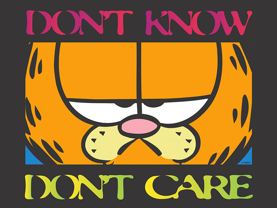 I Dont Care 桌布 壁紙 — 加菲貓的暴躁表情，在深色背景上以鮮豔色彩印有粗體文字「DON'T KNOW DON'T CARE」。