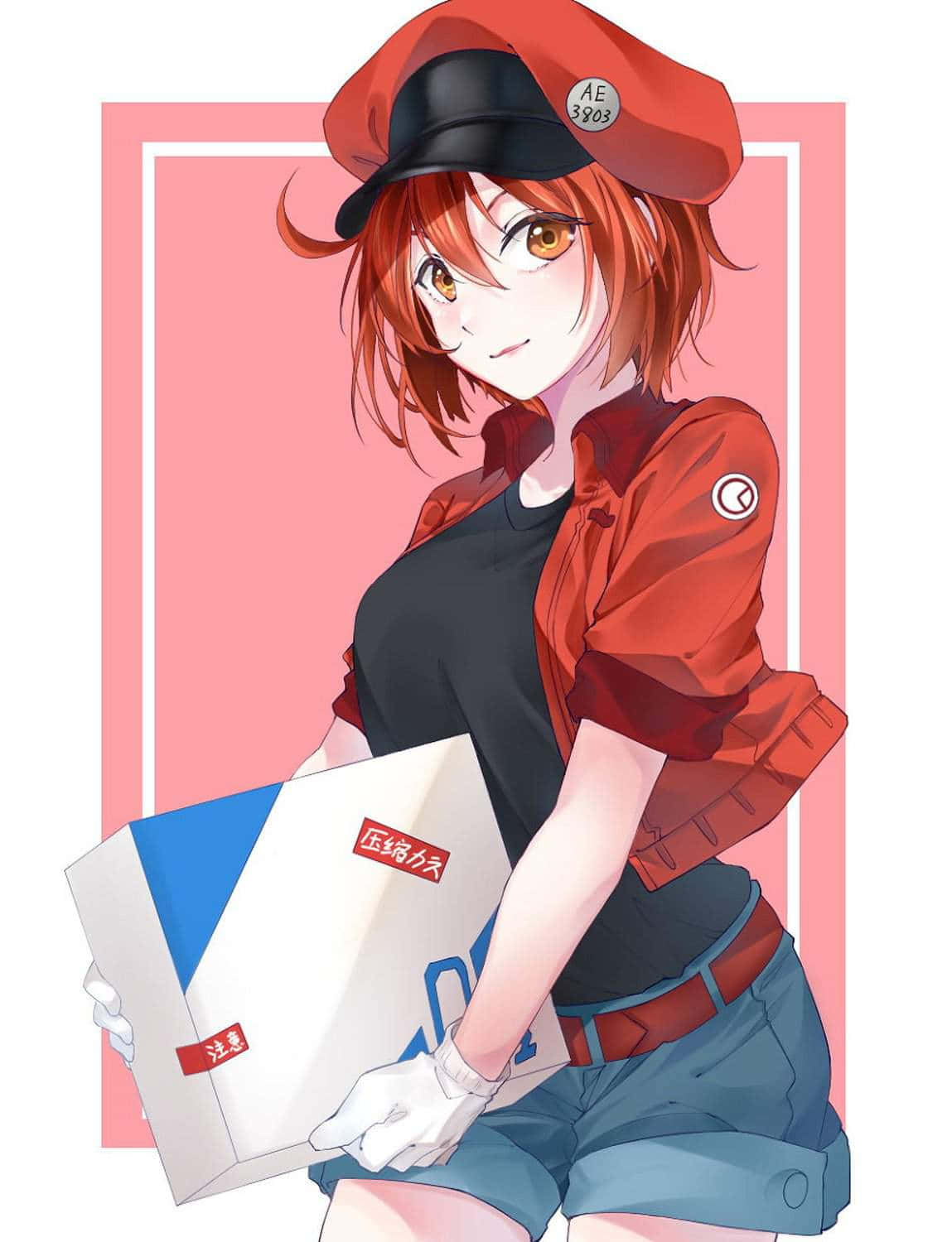 Cells At Work 桌布 壁紙 — 動漫女孩穿著紅色送貨制服，在粉紅色背景上微笑著拿著包裹。