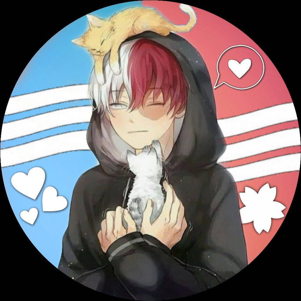 轟焦凍可愛 桌布 壁紙 — 動漫男孩，半紅半白頭髮，身穿黑色連帽衫，抱著白色小貓，橙色貓咪在他頭上睡覺，背景為條紋和愛心。