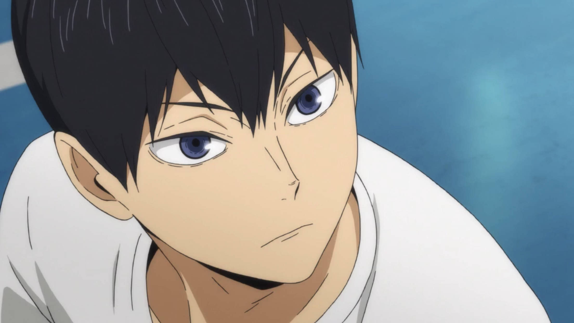 Kageyama 桌布 壁紙 — 動漫男孩的特寫，他有銳利的藍眼睛和黑髮，在柔和的藍色背景下專注地向前看。