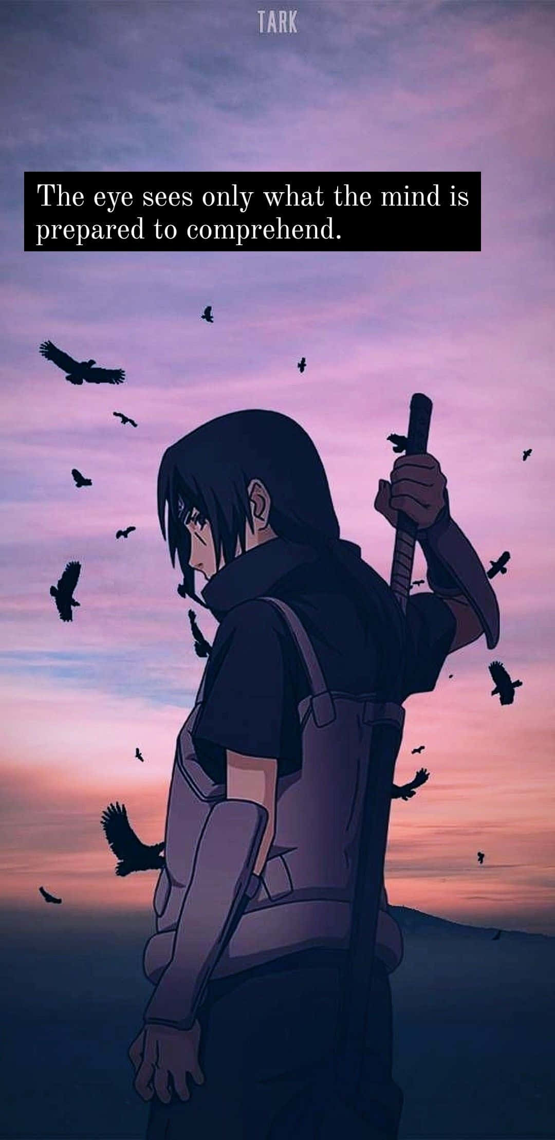Sad Anime Quotes 桌布 壁紙 — 動漫角色在暮色天空的映襯下呈現剪影，鳥兒在他周圍飛翔，他手持一把劍。