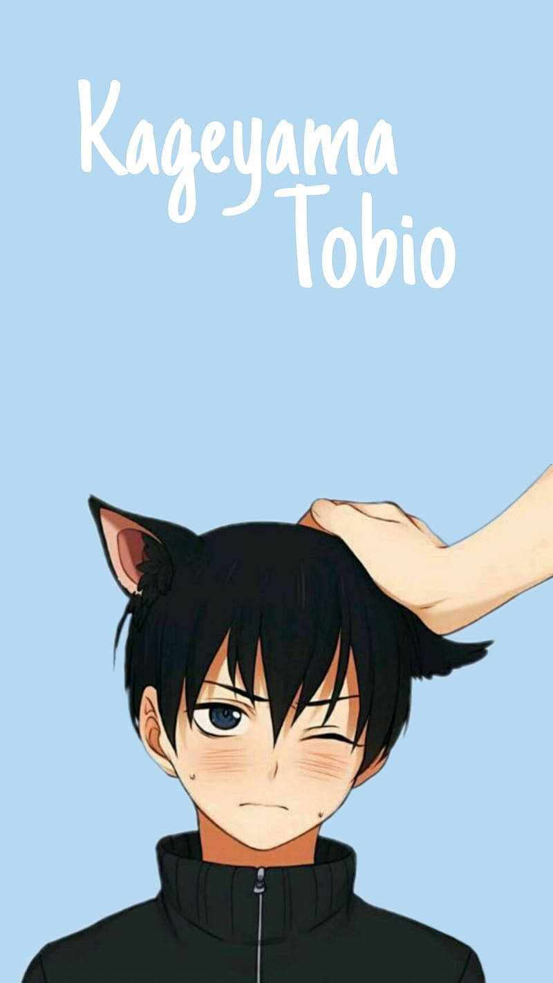 Kageyama 桌布 壁紙 — 動漫角色影山飛雄戴著貓耳，一隻手輕撫他的頭，背景為淺藍色。