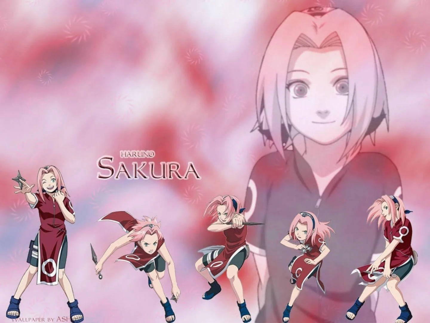 Sakura 桌布 壁紙 — 動漫角色春野櫻以多個動態姿勢呈現，背景為柔和的粉紅與紅色漸變，並帶有花卉圖案。