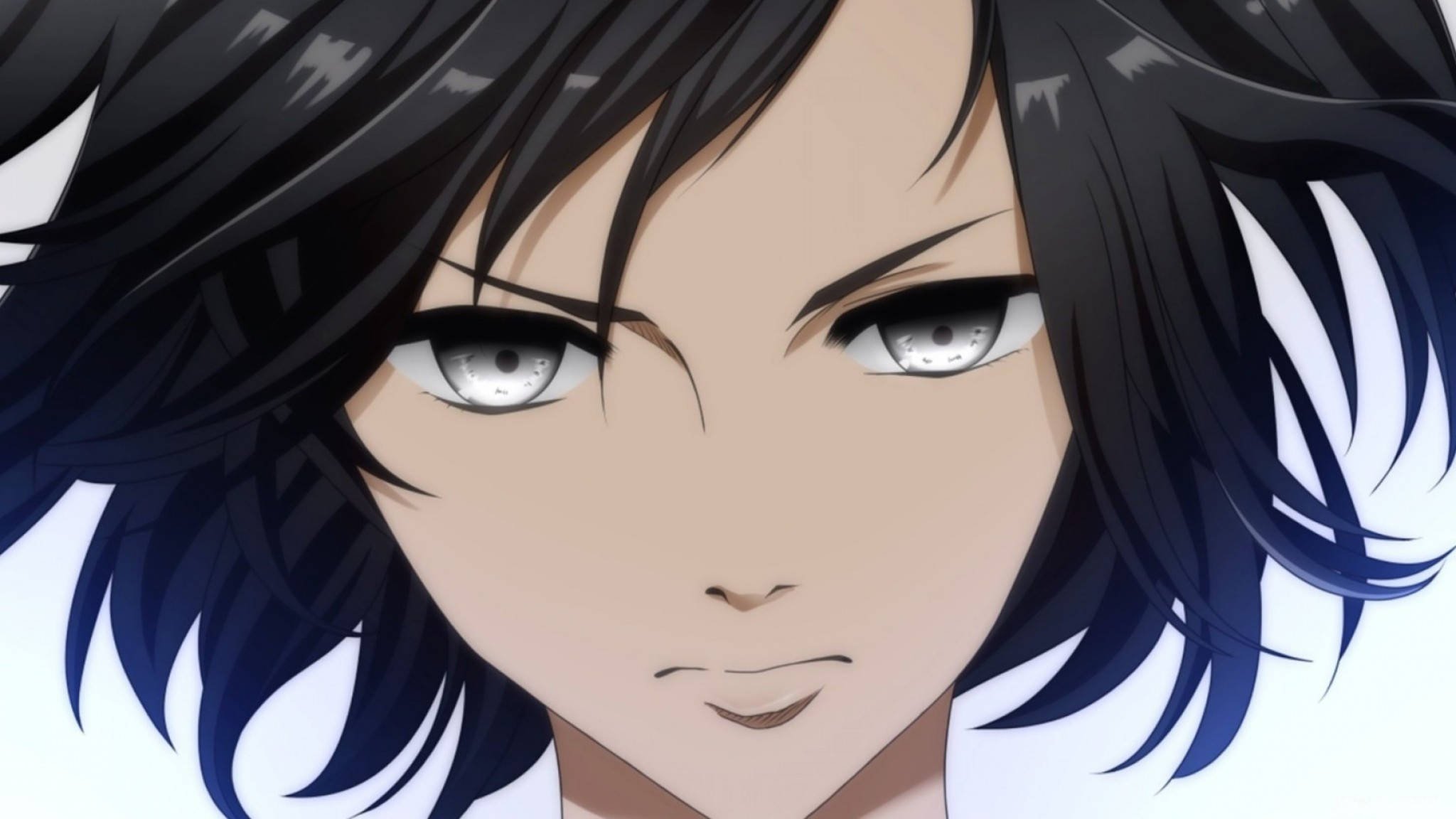 Mikasa Ackerman 桌布 壁紙 — 動漫角色特寫，擁有強烈灰色眼睛和深藍黑色頭髮，背景為純白色。
