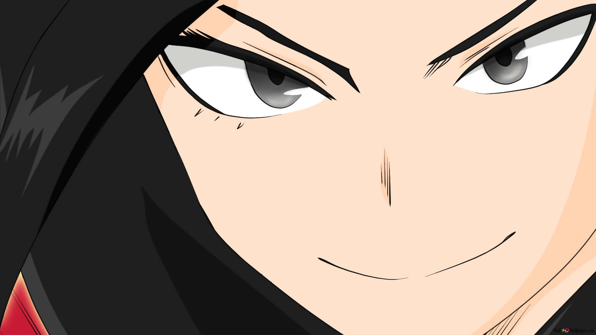 Momo Yaoyorozu 桌布 壁紙 — 動漫角色特寫，擁有強烈的灰色眼睛和微妙的冷笑，襯托著深色頭髮。