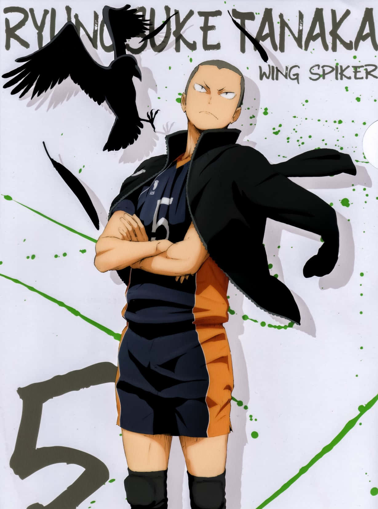 Tanaka Ryunosuke 桌布 壁紙 — 動漫角色田中龍之介身穿排球服，雙臂交叉站立，一隻烏鴉在他旁邊飛翔，背景是濺灑的綠色和白色。