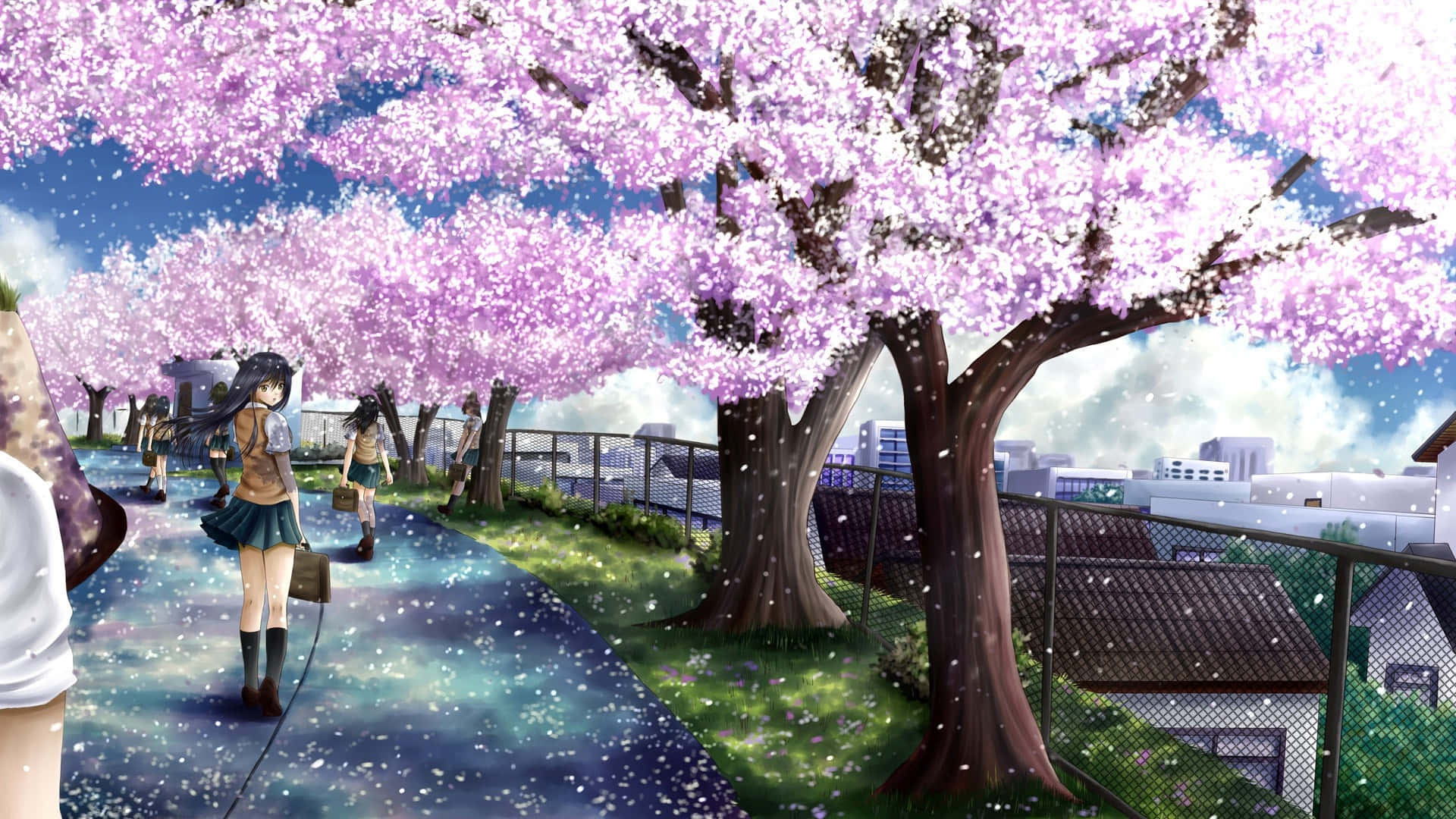Cherry Blossom Tree 桌布 壁紙 — 動畫女孩在盛開的粉紅櫻花樹下漫步，花瓣在柔和的光線中飄落。