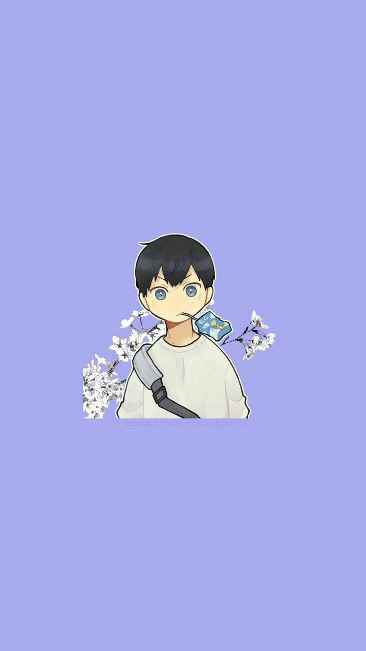 Kageyama 桌布 壁紙 — 動畫男孩，黑髮藍眼，手持一個藍色盒子，白色櫻花在他周圍飄浮，背景是柔和的薰衣草色。