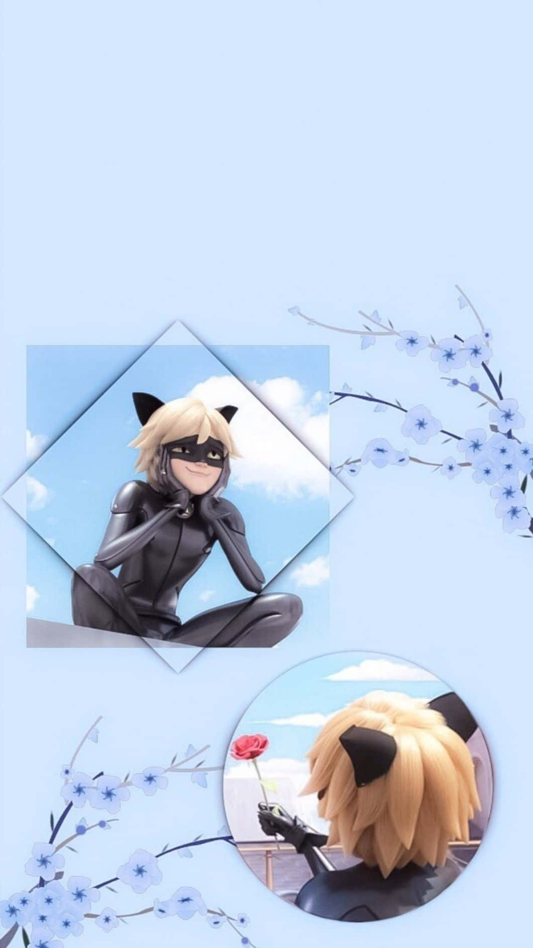 可愛 桌布 壁紙 — 動畫角色 Cat Noir 身穿黑色西裝，在柔和的藍天下沉思，精緻的櫻花枝條框住了場景。