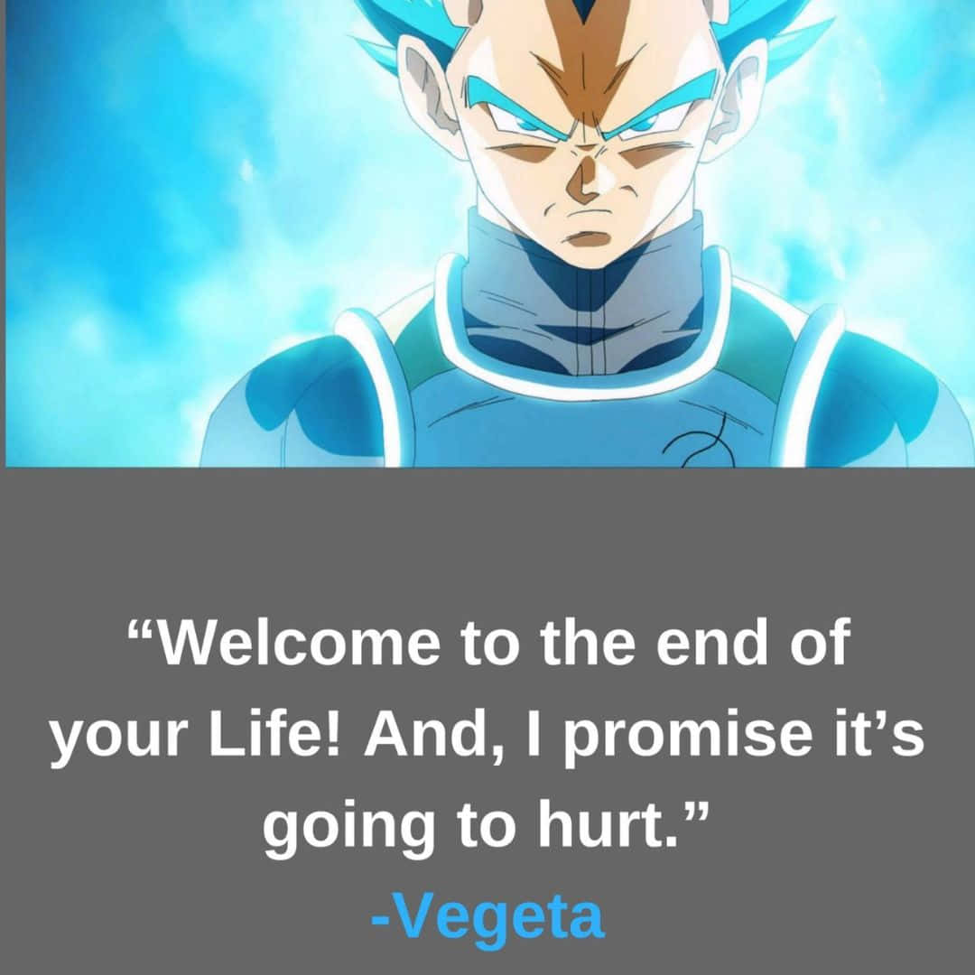 Vegeta Quotes 桌布 壁紙 — 動畫角色貝吉塔身穿藍色盔甲，散發著發光的氣場，在明亮的藍天背景下強烈凝視。