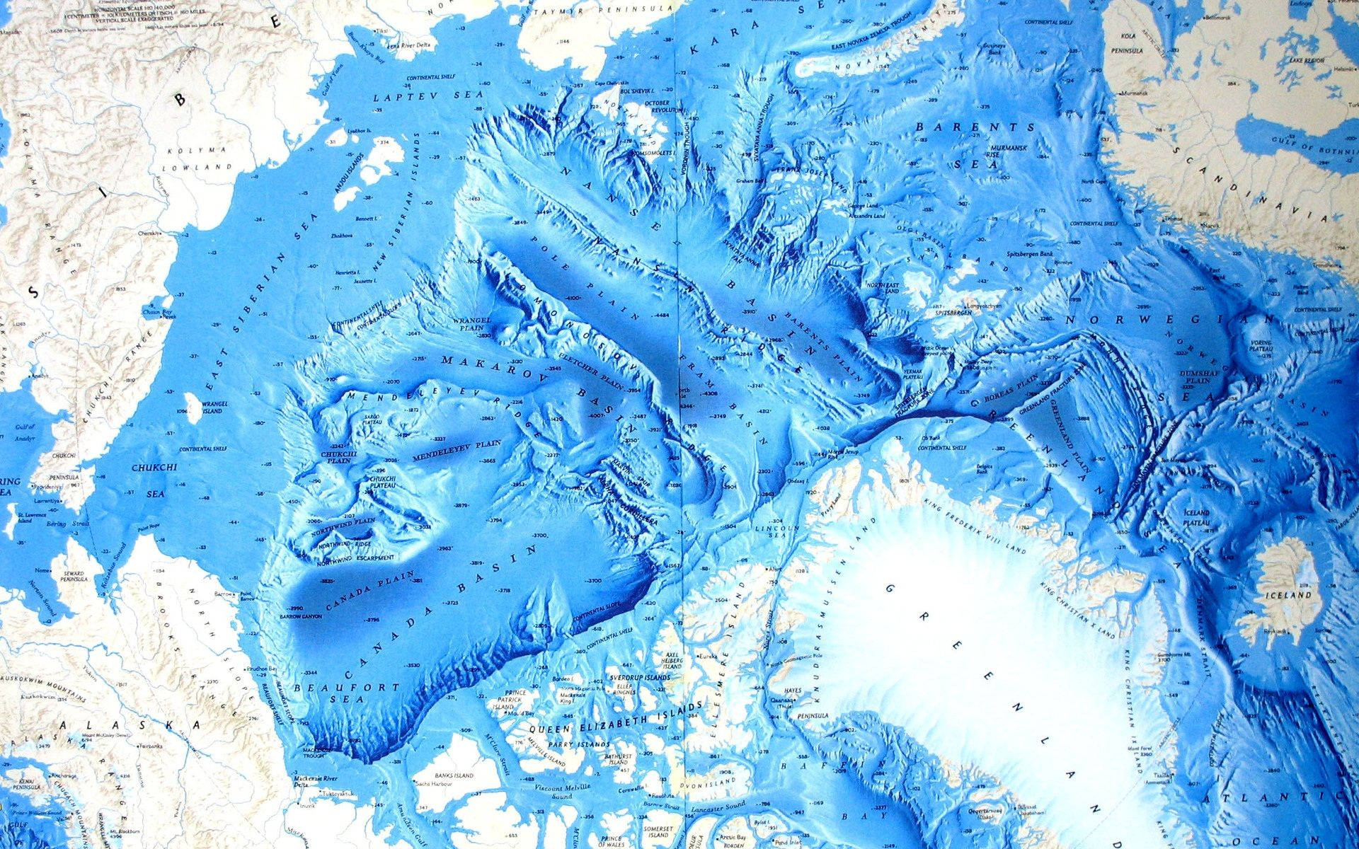 Topography 桌布 壁紙 — 北極地區的詳細3D地形圖，展現深藍色海洋和紋理陸地。