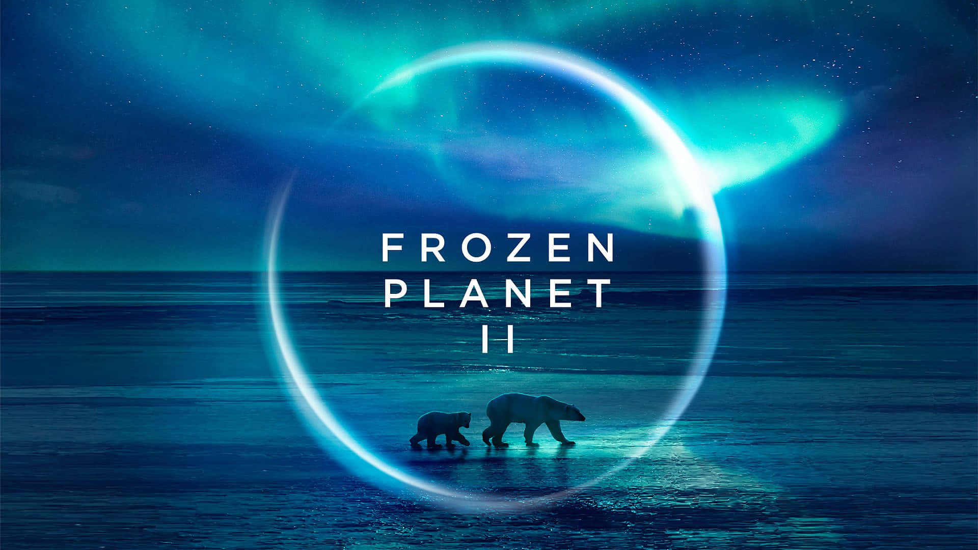 Polar Bear 桌布 壁紙 — 北極熊媽媽和幼崽在發光環繞的極光下走過冰天雪地。