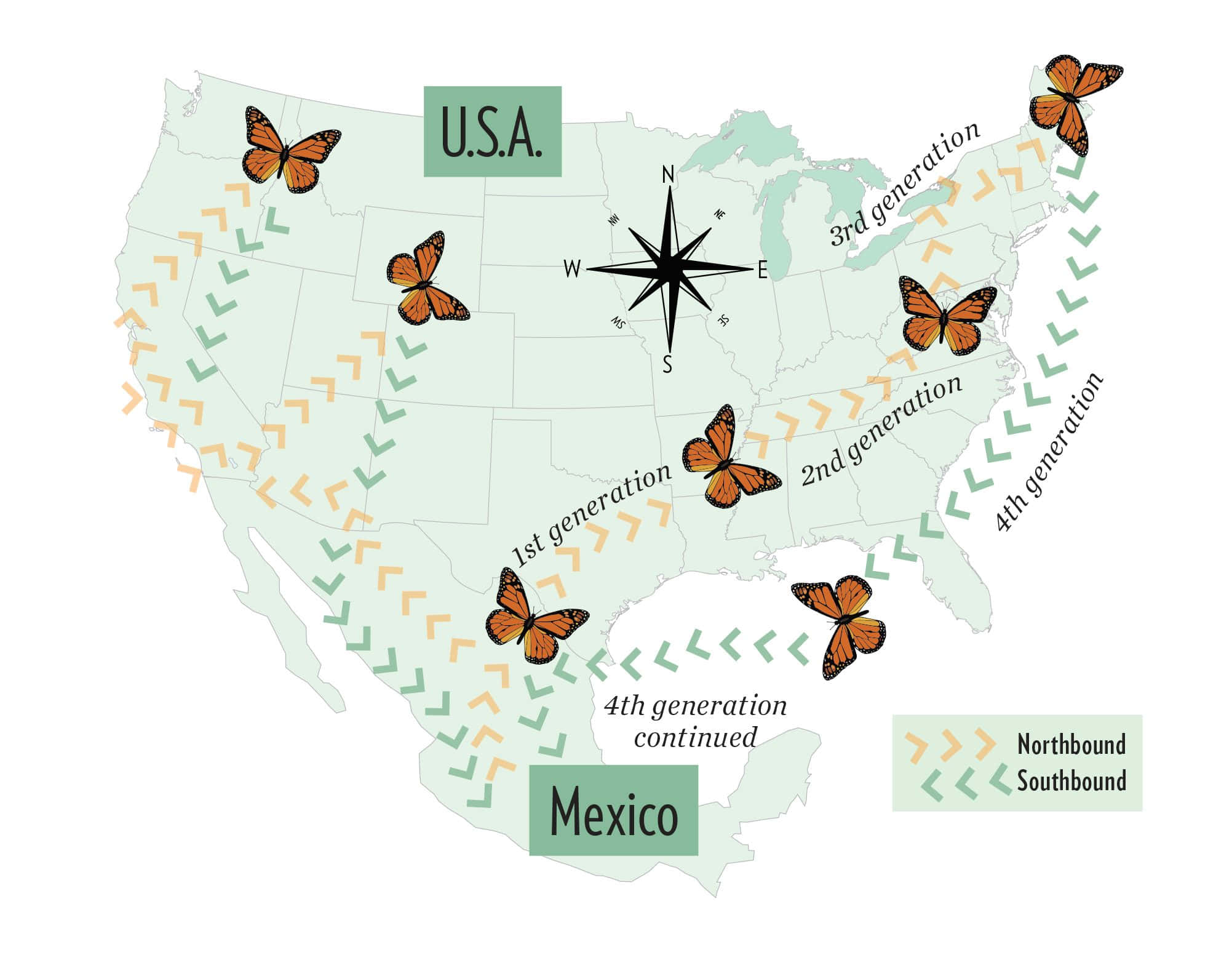 Butterfly Migration 桌布 壁紙 — 北美地圖顯示帝王斑蝶的遷徙路線，並在美國和墨西哥標示了世代。