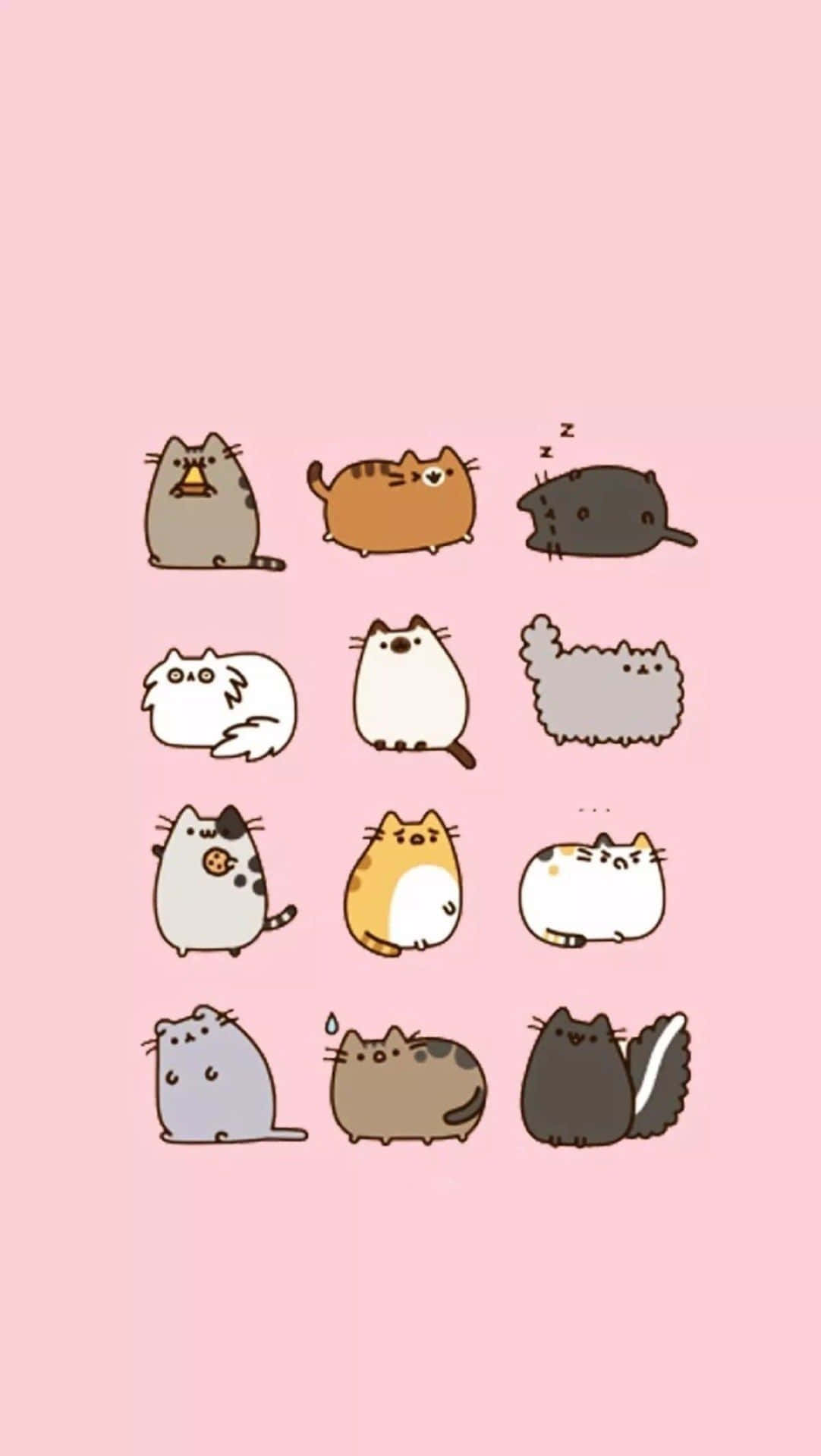 Kawaii Pusheen 桌布 壁紙 — 十二隻可愛卡通貓咪，以不同姿勢和顏色排列在柔和的粉紅色背景上。
