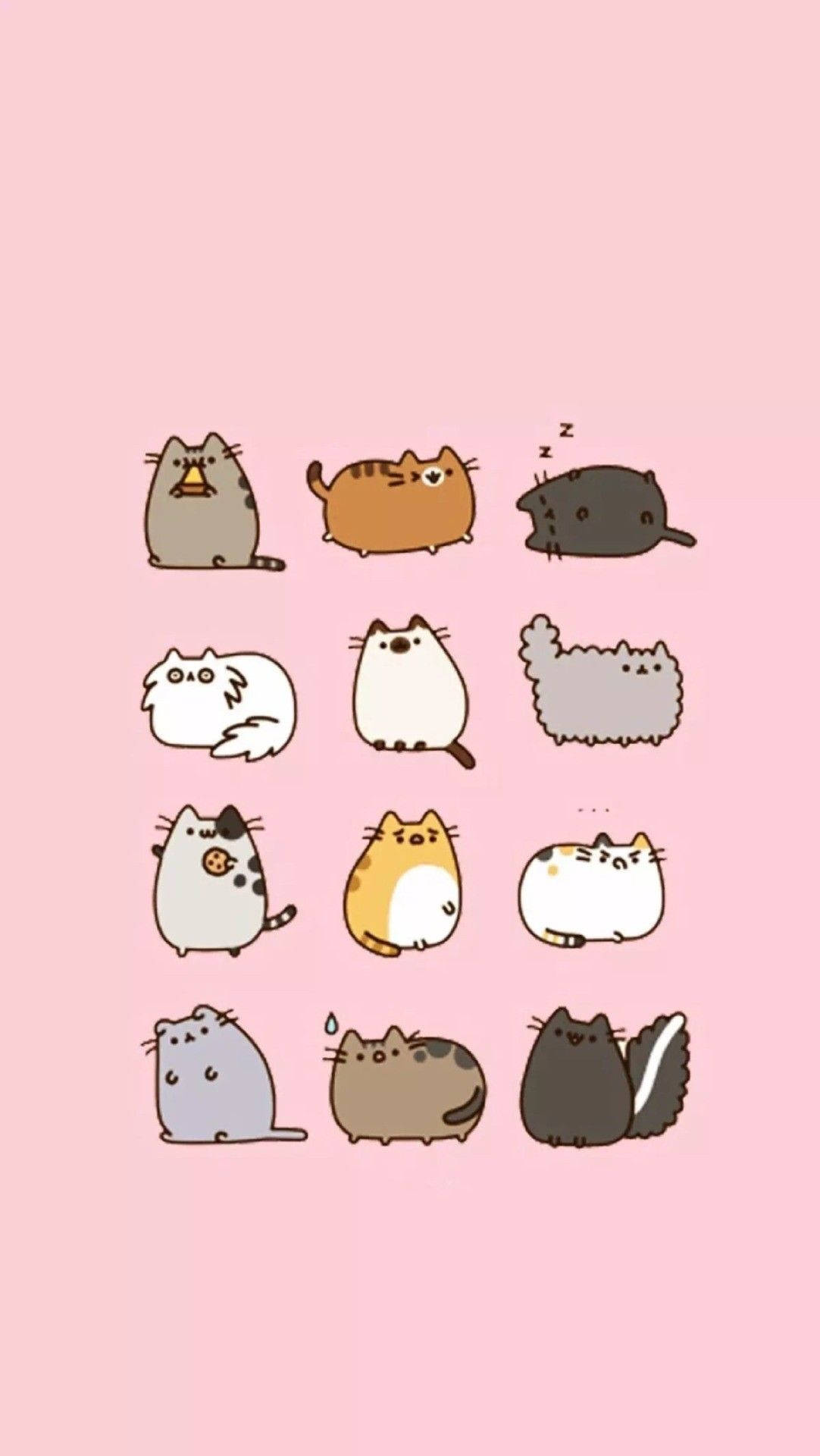 pusheen 動圖 桌布 壁紙 — 十二隻可愛卡通貓咪以各種姿勢和顏色漂浮在柔和的粉紅色背景上。