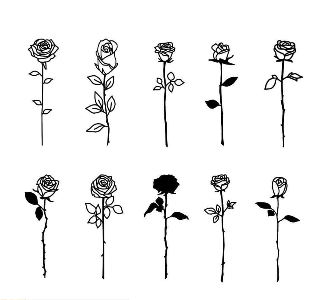 Rose Symbol 桌布 壁紙 — 十幅極簡風格的黑線玫瑰圖畫，描繪不同綻放階段和葉子排列，背景為白色。