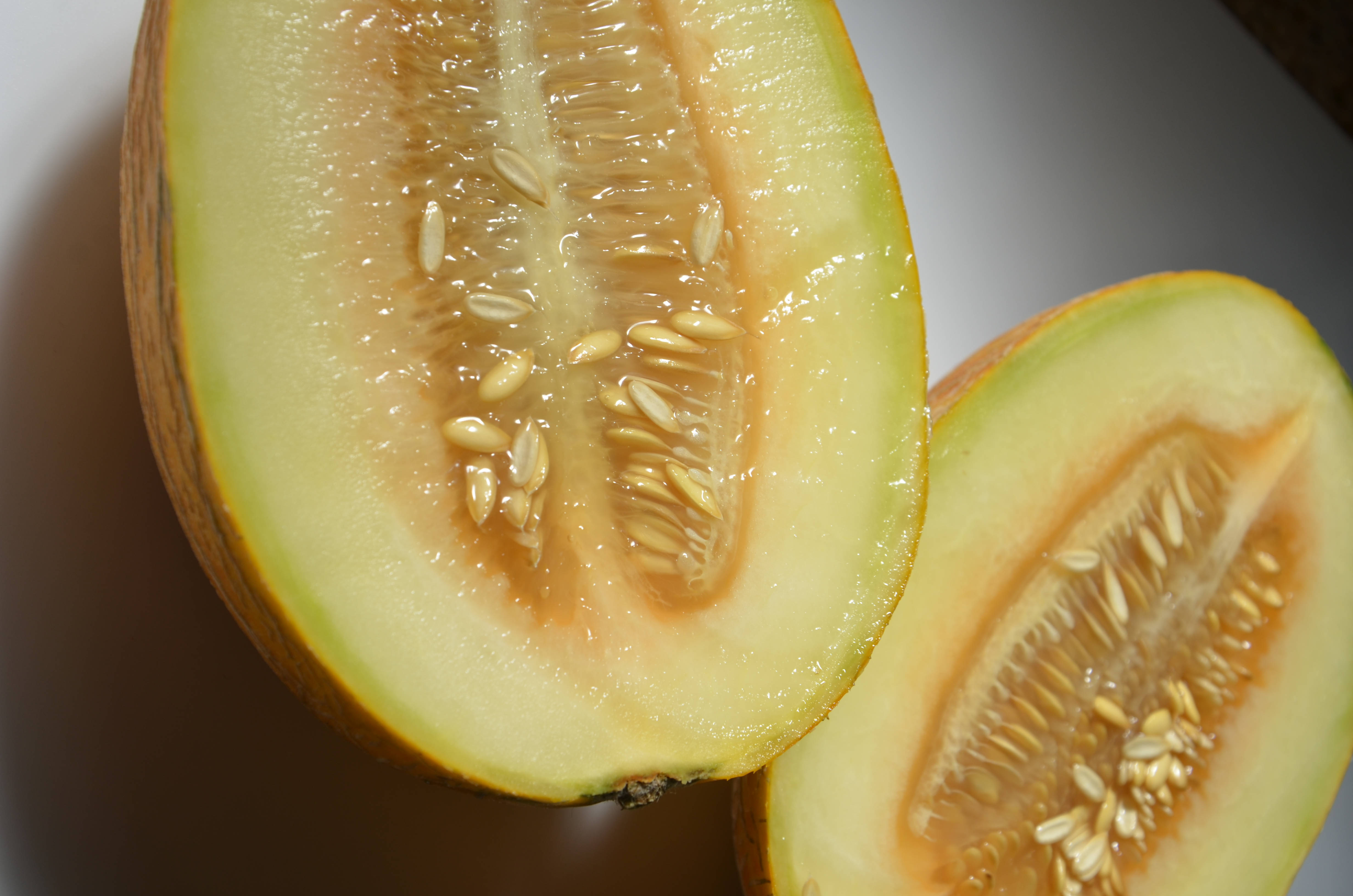 Fruits 桌布 壁紙 — 半個哈密瓜的特寫，露出多汁的橙色果肉和淡色種子，背景為柔和漸變色。