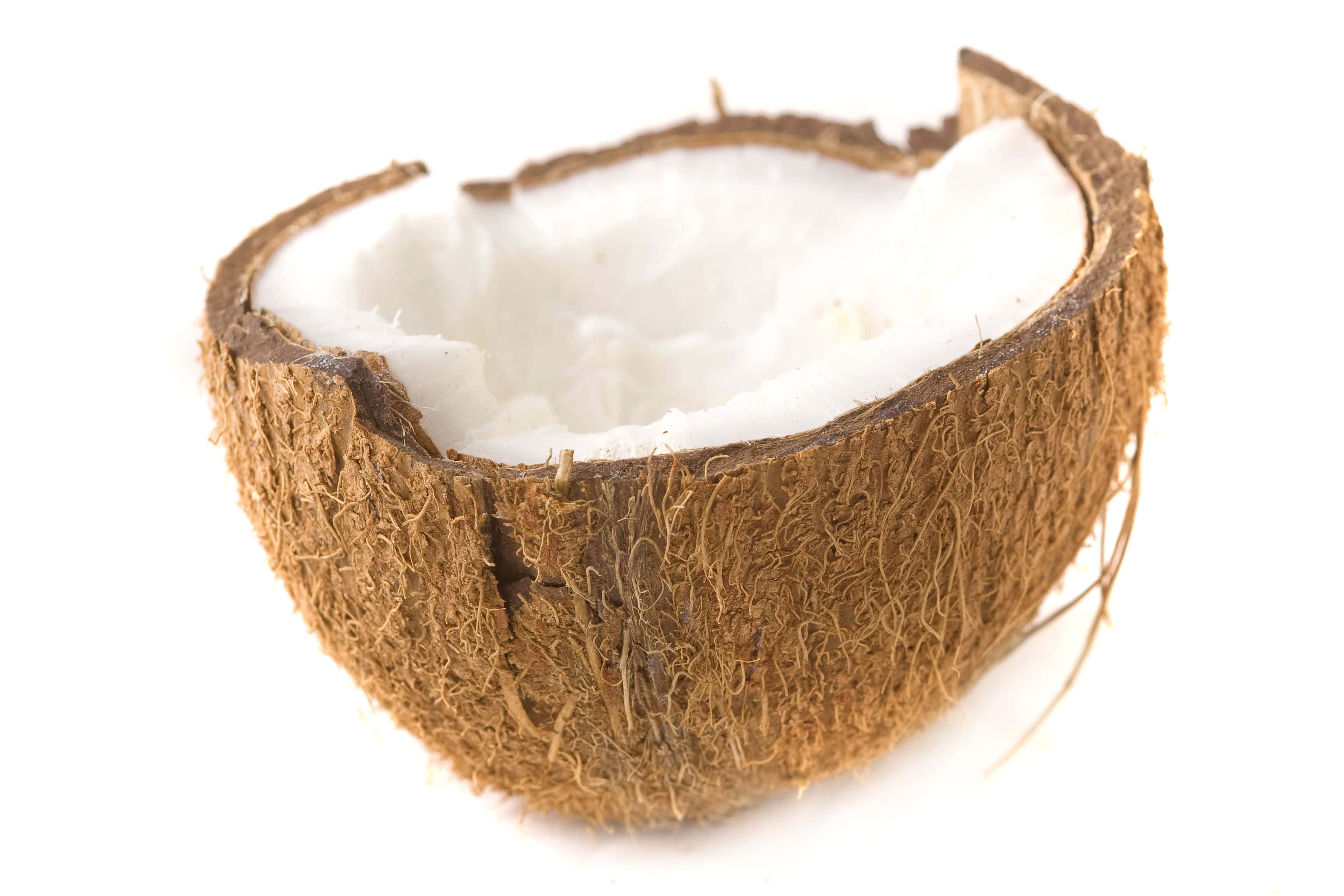 Coconut 桌布 壁紙 — 半個椰子，帶有纖維狀的棕色外殼和奶油白色的果肉，置於純白背景前。
