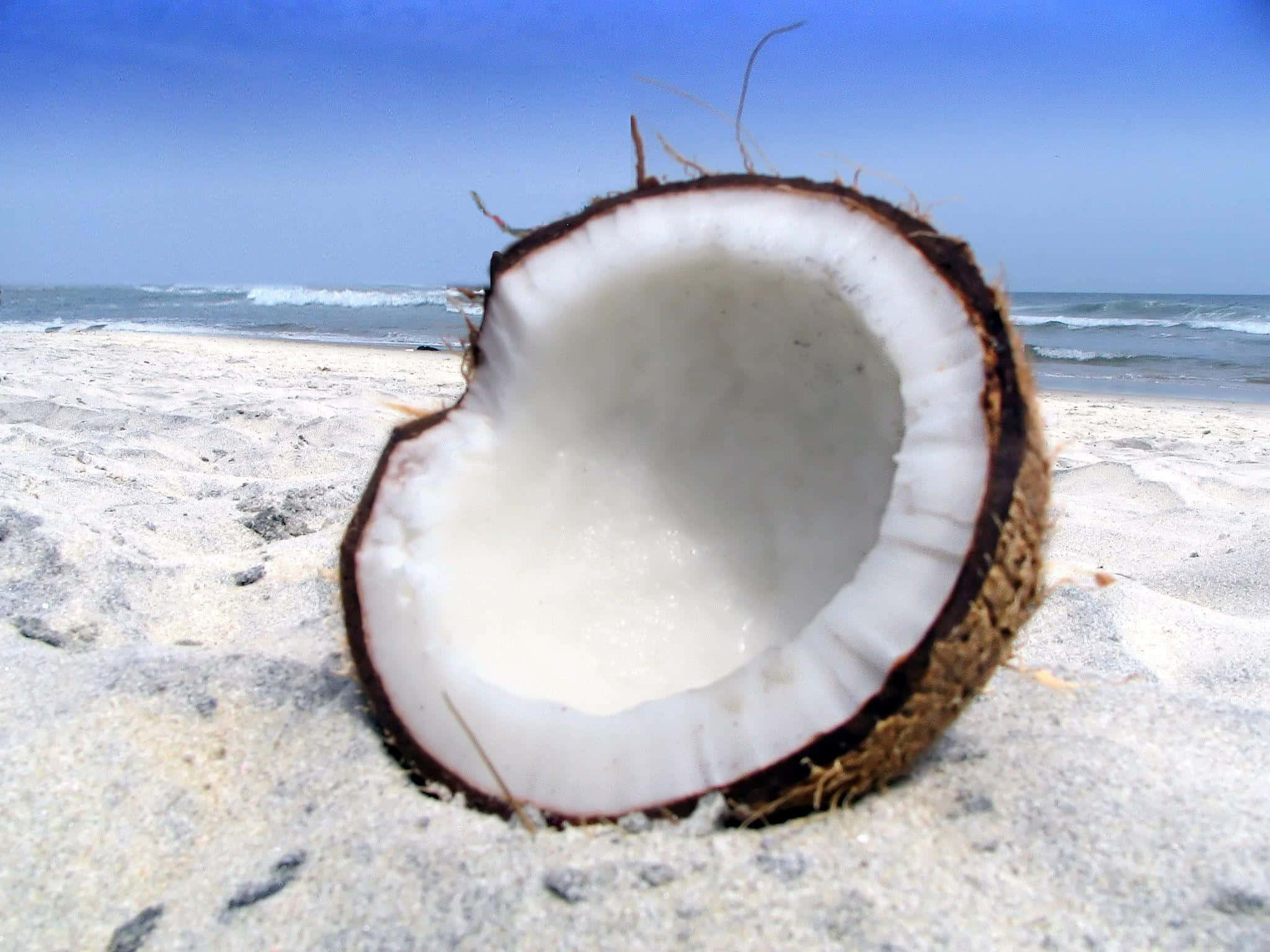 Coconut 桌布 壁紙 — 半個椰子放在陽光普照的沙灘上，背景有海浪和藍天。