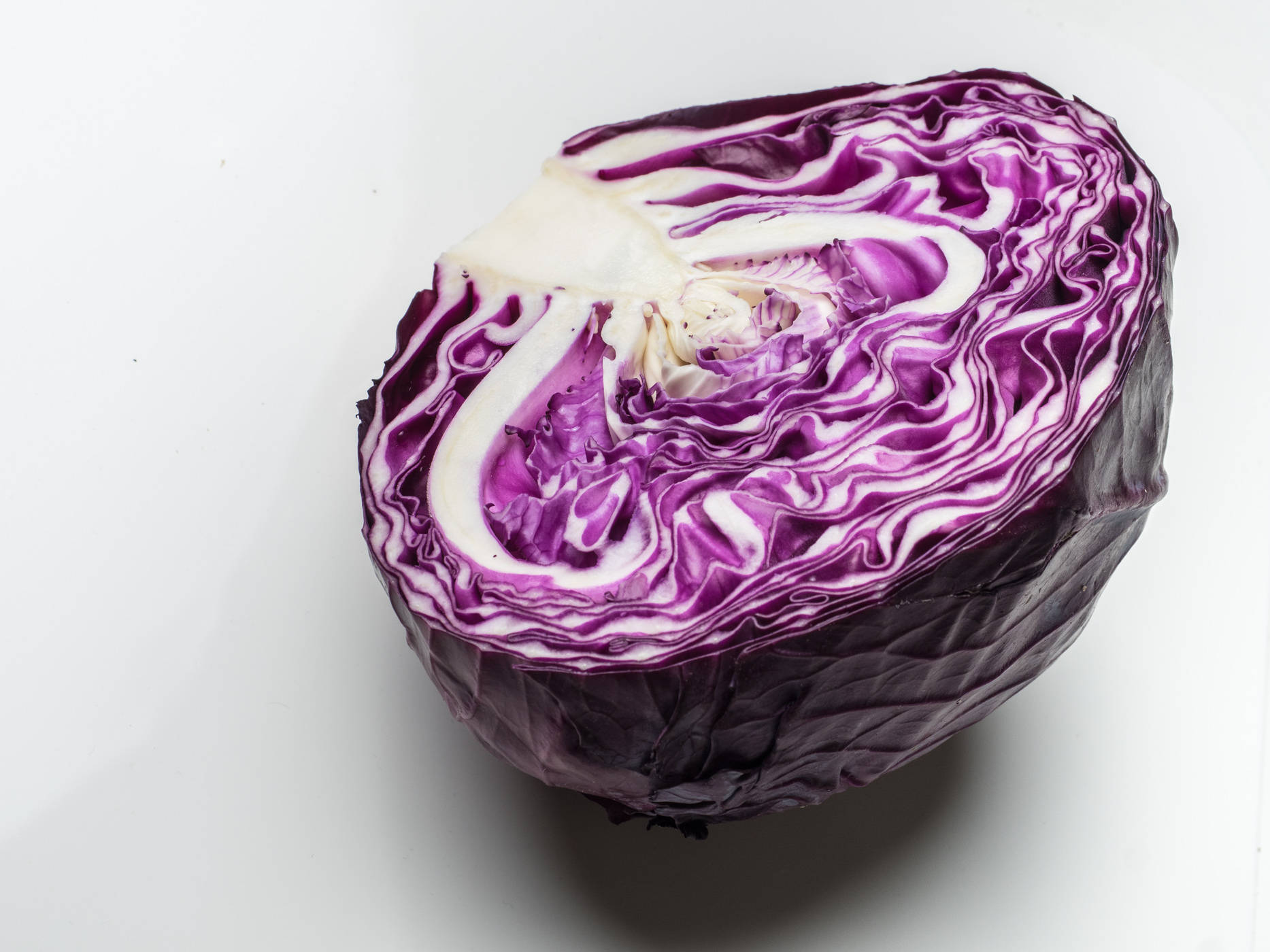 Cabbage 桌布 壁紙 — 半個紅椰菜在純白背景下展現出深紫色和乳白色的複雜漩渦。