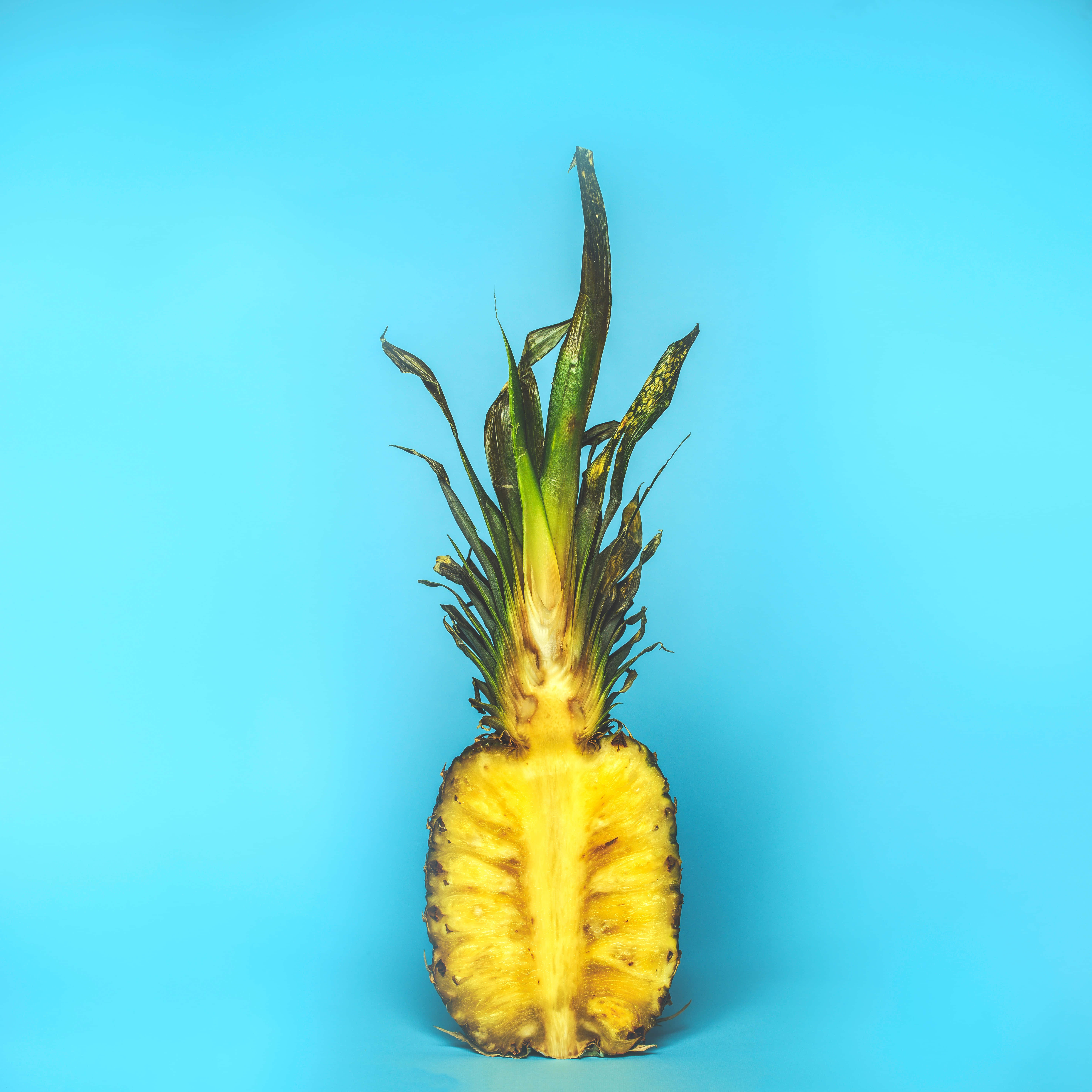 Pineapple 桌布 壁紙 — 半個鳳梨，冠部朝上，立在純亮藍色背景前。