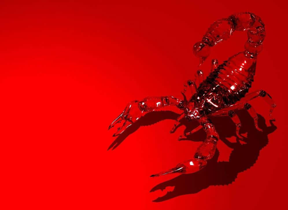Red Scorpion 桌布 壁紙 — 半透明的紅色蠍子雕塑在純紅色背景上投下清晰的陰影。