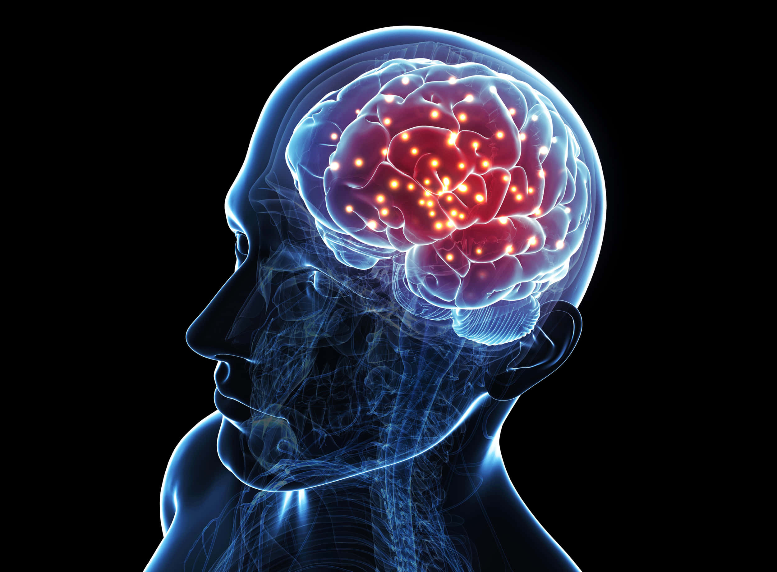Memory 桌布 壁紙 — 半透明的藍色人頭剪影在黑色背景上顯露出一個發光的紅色大腦，帶有活躍的橙色神經連接。