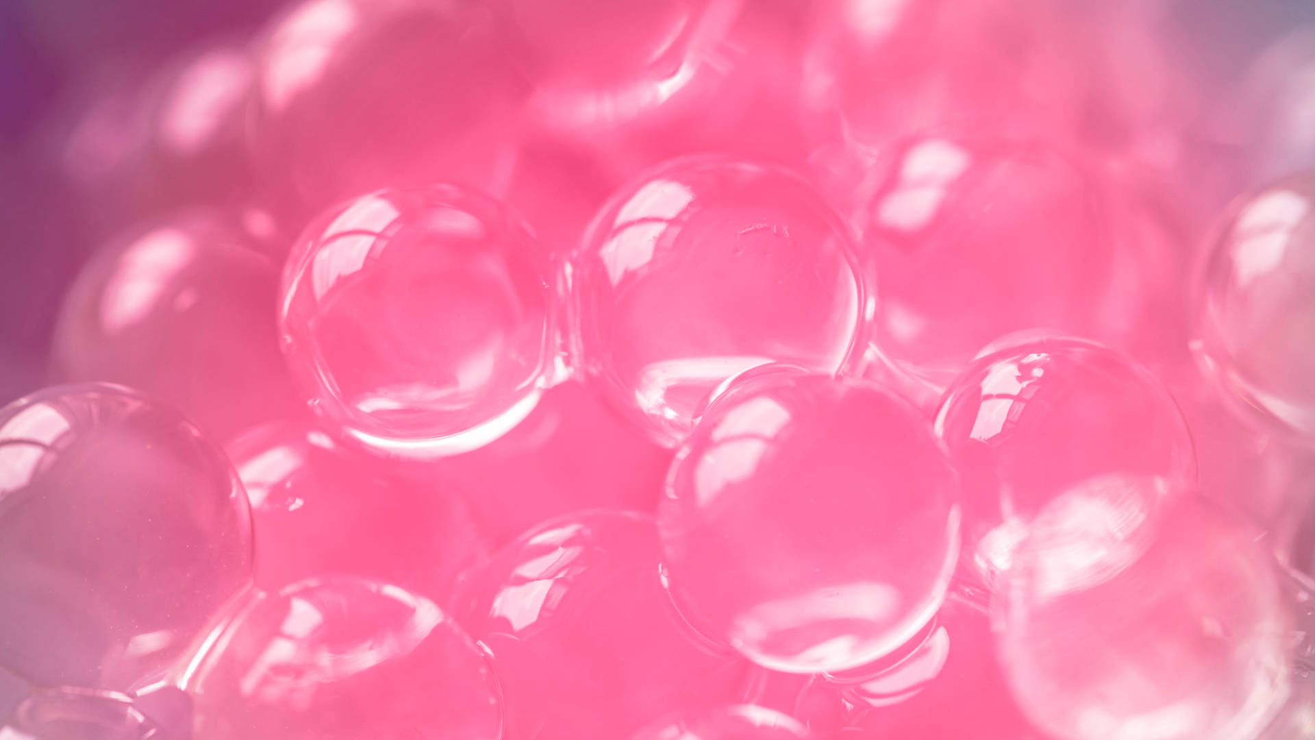 Pink Sparkle 桌布 壁紙 — 半透明粉紅色凝膠珠的特寫，在夢幻般的散景背景下柔和發光。