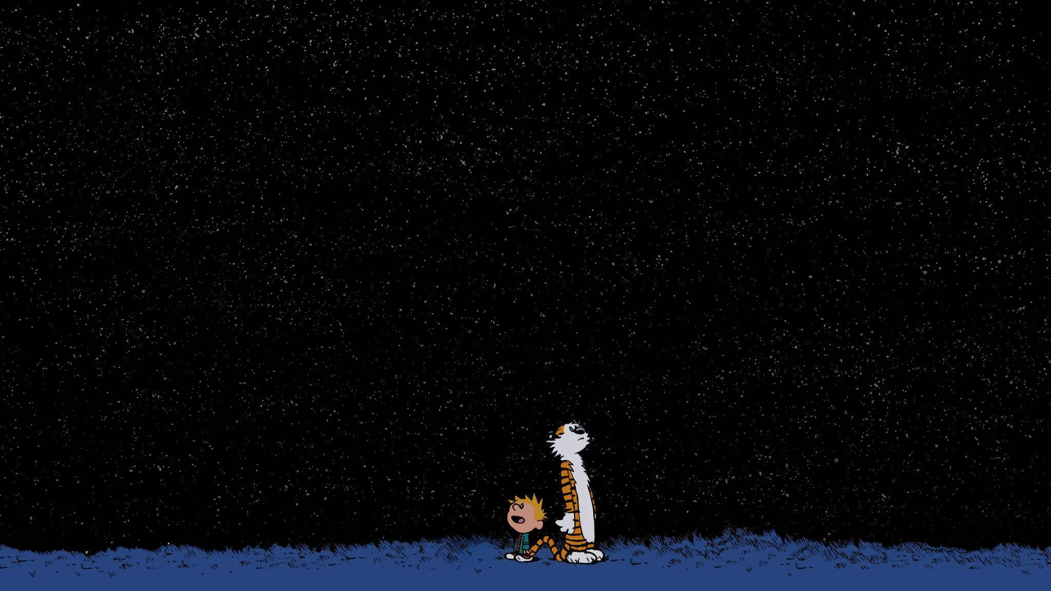 Hobbes 桌布 壁紙 — 卡爾文和霍布斯在深藍色的草地地平線下仰望星空。