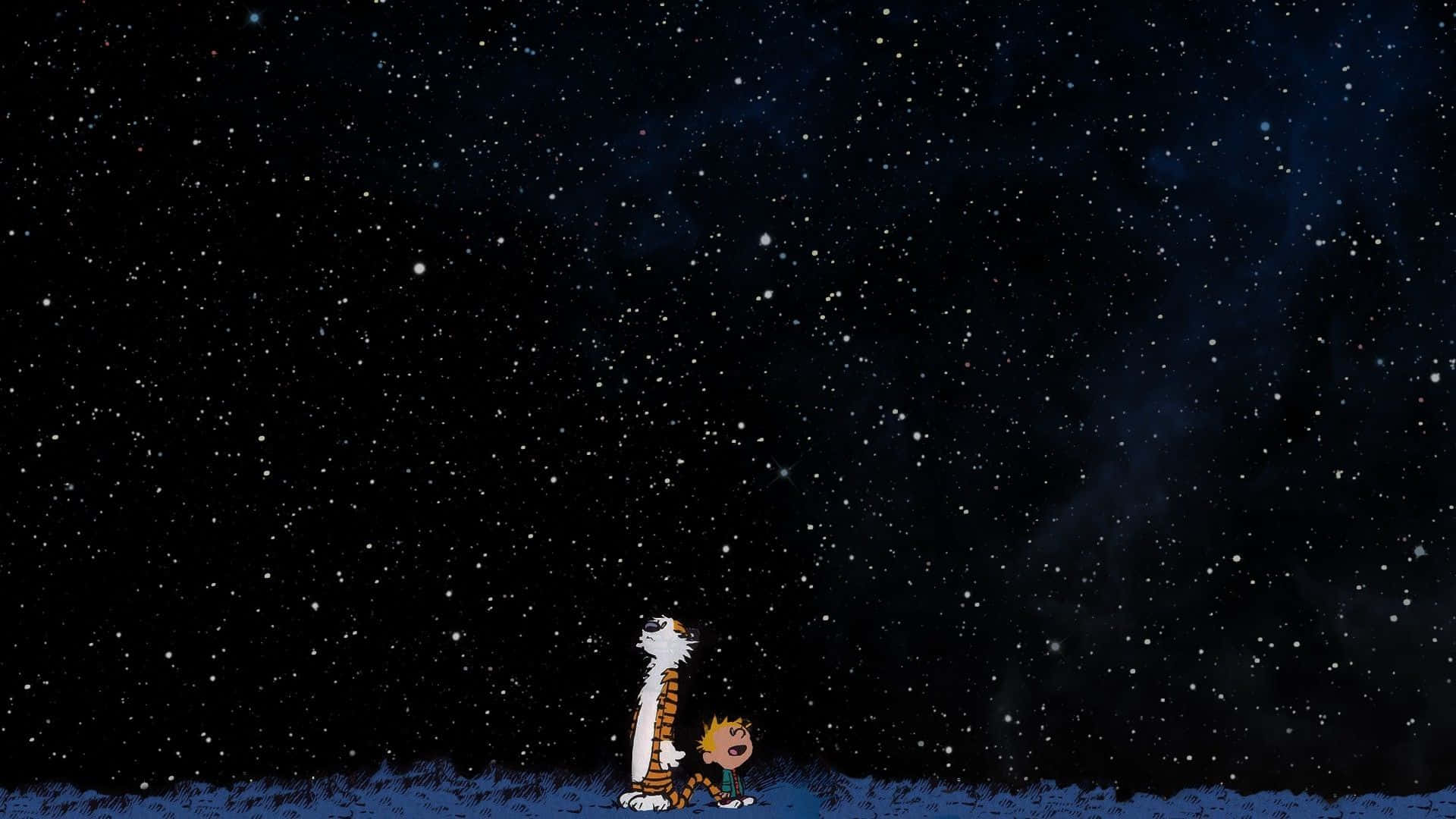 Stars 桌布 壁紙 — 卡爾文和霍布斯驚奇地仰望佈滿閃爍星星的廣闊星空夜空。