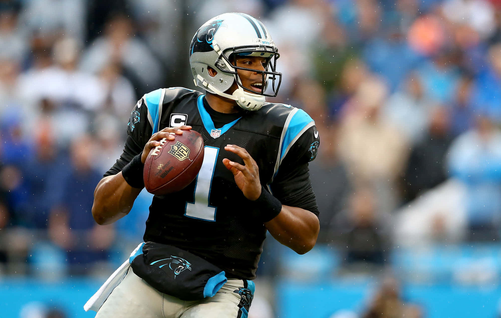 Cam Newton 桌布 壁紙 — 卡羅萊納黑豹隊的四分衛身穿黑色和藍色球衣，在雨中比賽中準備擲出橄欖球，背景是模糊的體育場人群。