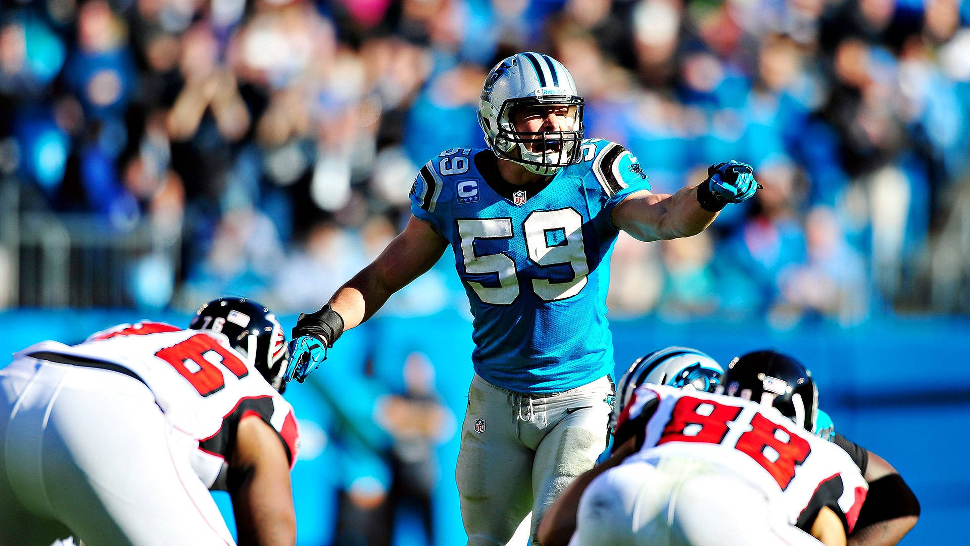 Panthers 桌布 壁紙 — 卡羅萊納黑豹隊的線衛身穿藍色59號球衣，在陽光明媚的白天足球比賽中慶祝，背景是模糊的球迷。