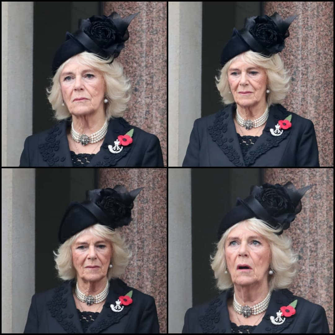 Celebrity 桌布 壁紙 — 卡蜜拉戴著黑色帽子和外套，別著紅色罌粟花胸針，莊嚴地站在石建築外牆前。