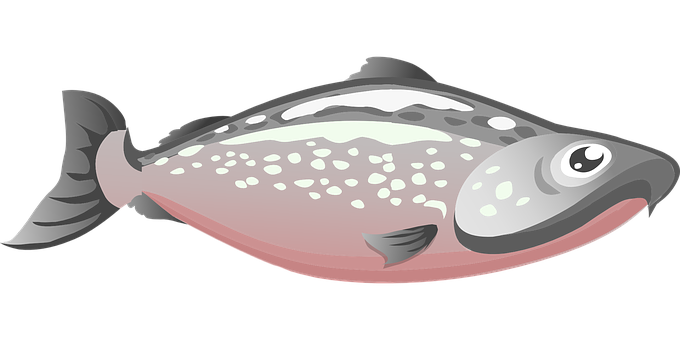 卡通_ 比目魚_ 插畫 壁紙