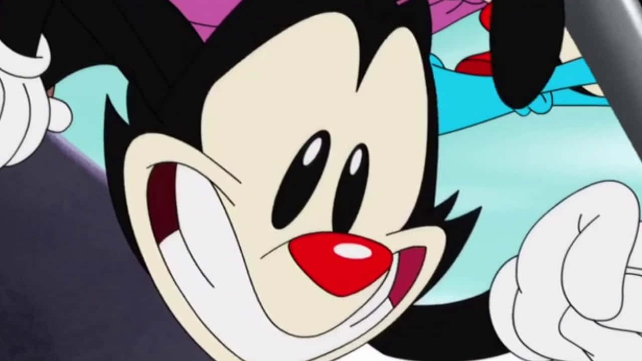 Animaniacs 桌布 壁紙 — 卡通老鼠特寫，黑色耳朵、紅色鼻子，咧嘴露出白色牙齒。