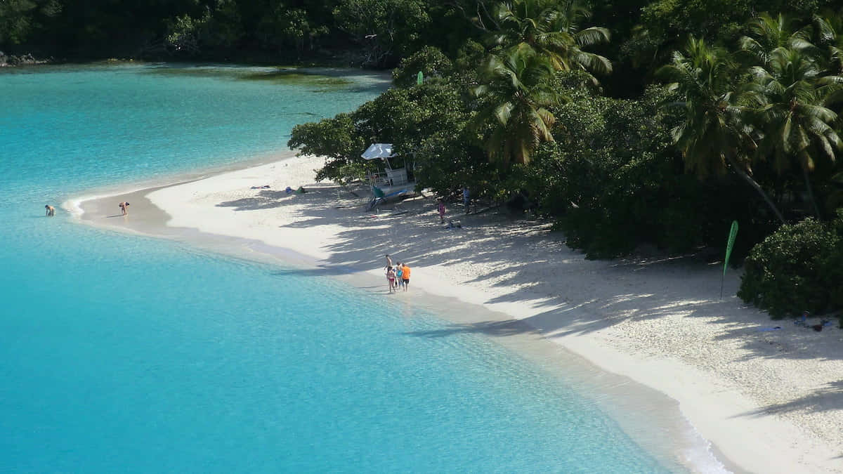 Caribbean Island 桌布 壁紙 — 原始熱帶海灘的鳥瞰圖，擁有碧綠海水、白色沙灘和投下長長陰影的棕櫚樹。