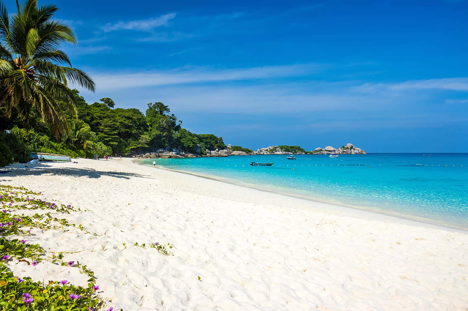 Sea Beach 桌布 壁紙 — 原始白色沙灘沿著碧綠海水蜿蜒，上方是明亮的藍天，點綴著幾朵白雲和茂密的綠色棕櫚樹。