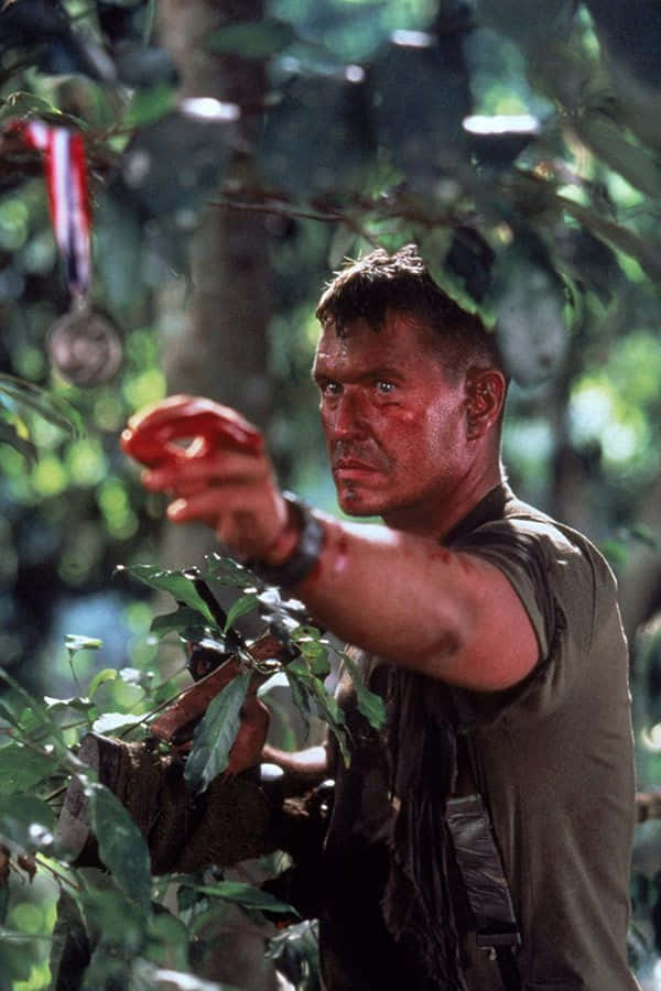 Tom Berenger 桌布 壁紙 — 叢林樹葉中一名血跡斑斑的士兵伸手去拿掛在樹枝上的獎章。