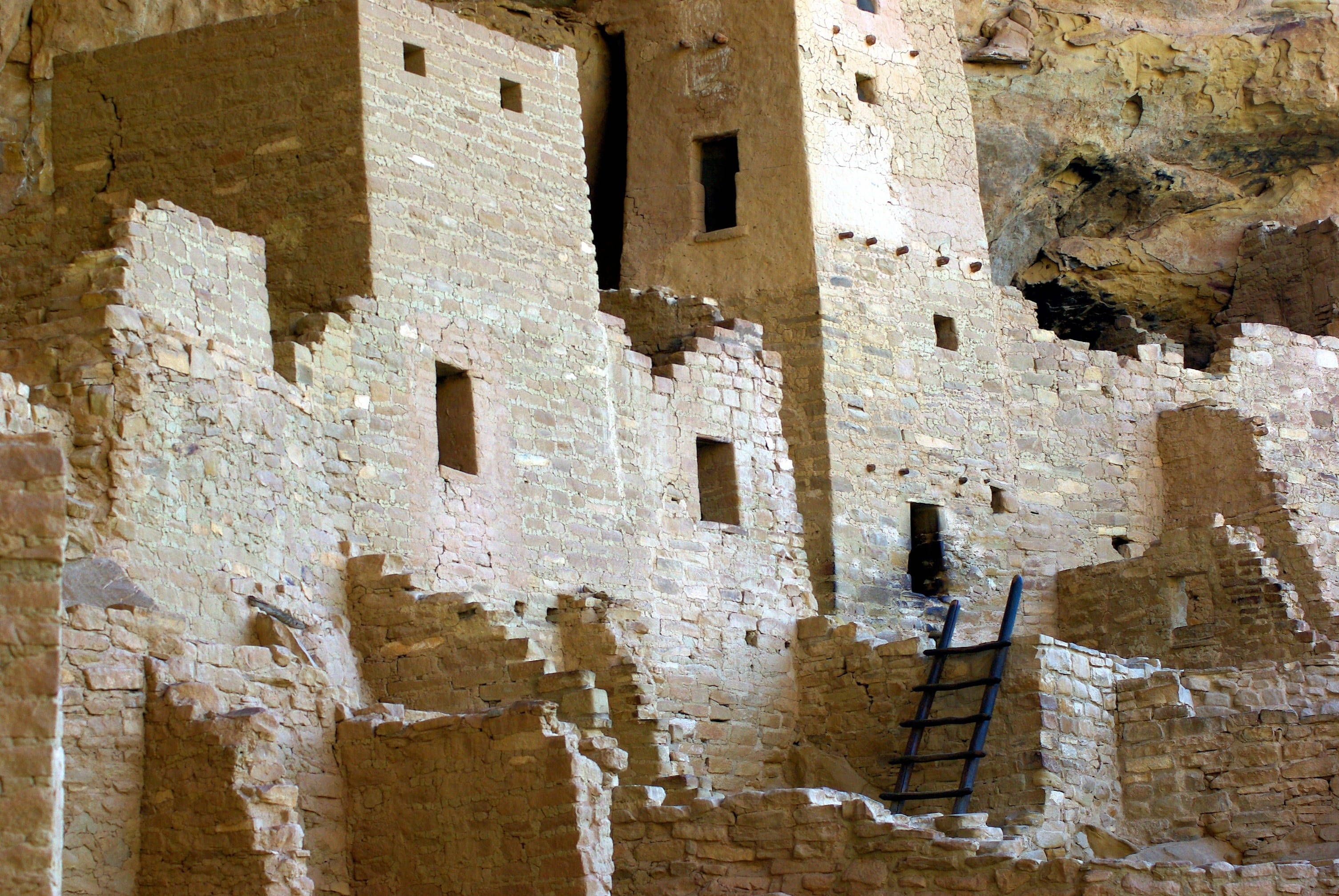 Mesa Verde 桌布 壁紙 — 古代懸崖住宅遺址，雕刻在砂岩中，有石牆和通往上一層的木梯。